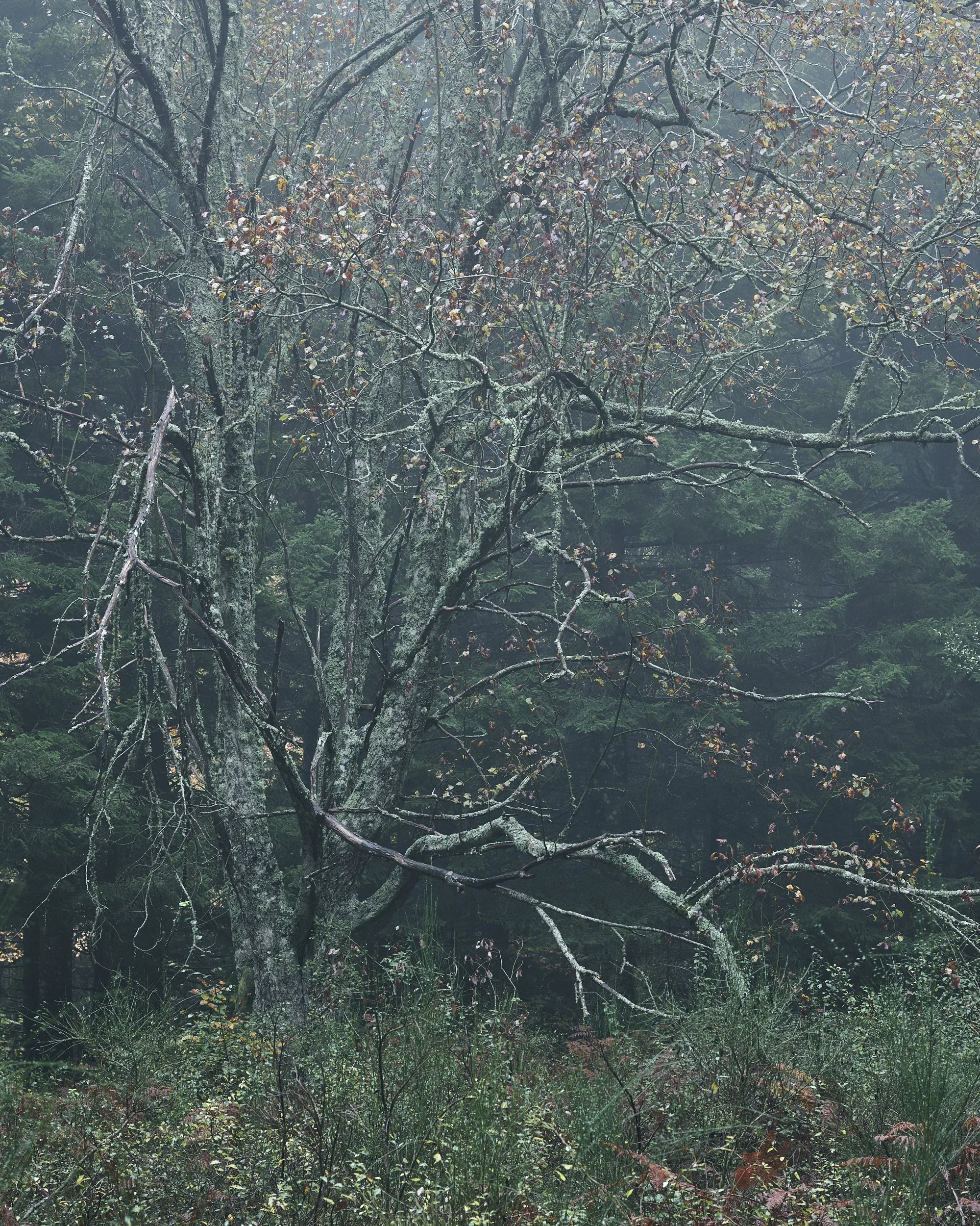 2024 - 10 ottobre-031347.jpg