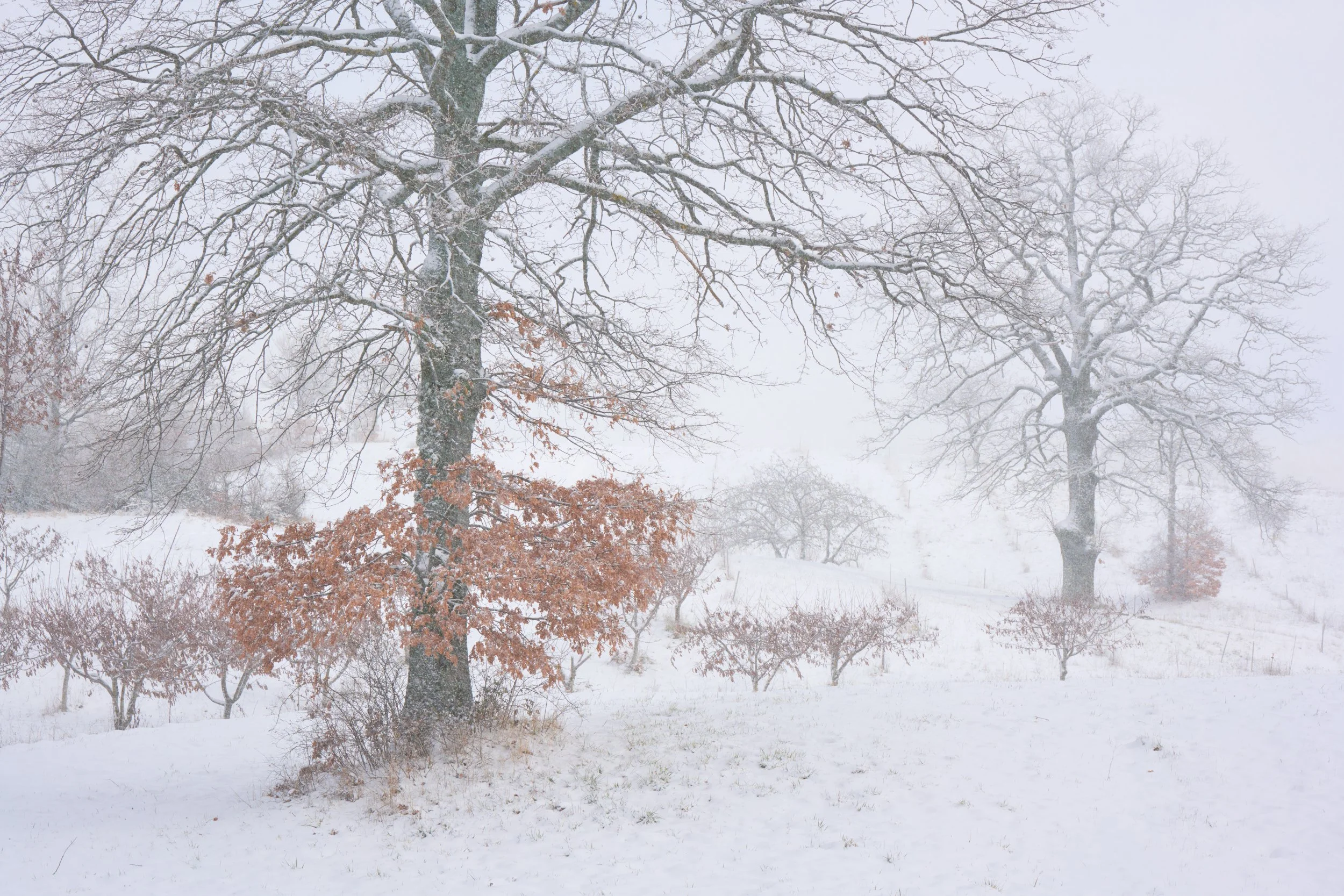 2023-01 gennaio-015343.JPG