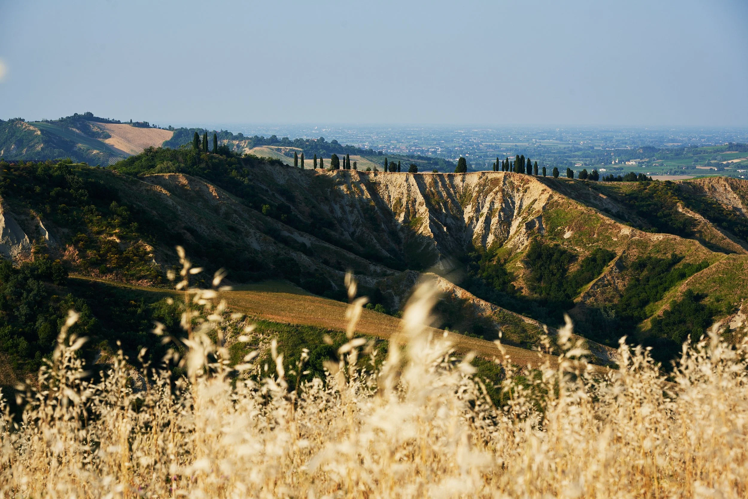 2025 - 06 giugno-043993.jpg