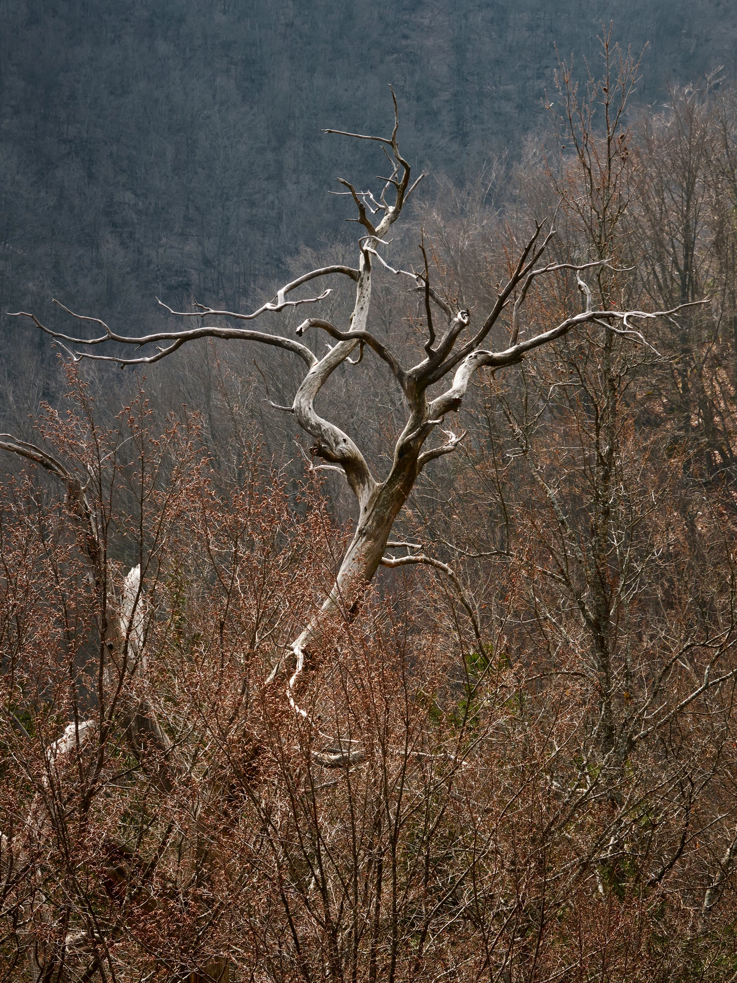 2022-02 marzo-7794.JPG