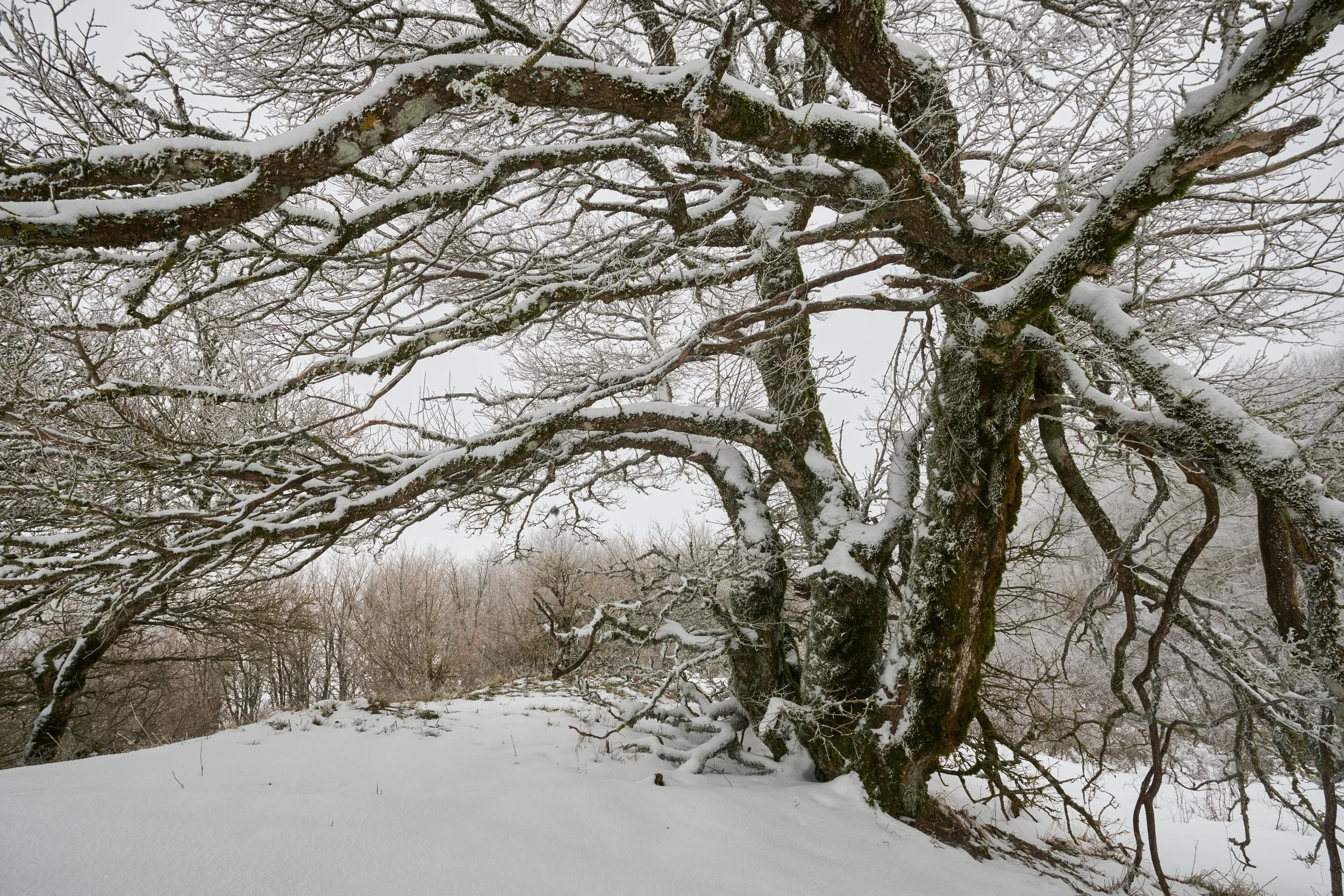 2022-02 marzo-7499_HDR 1.JPG