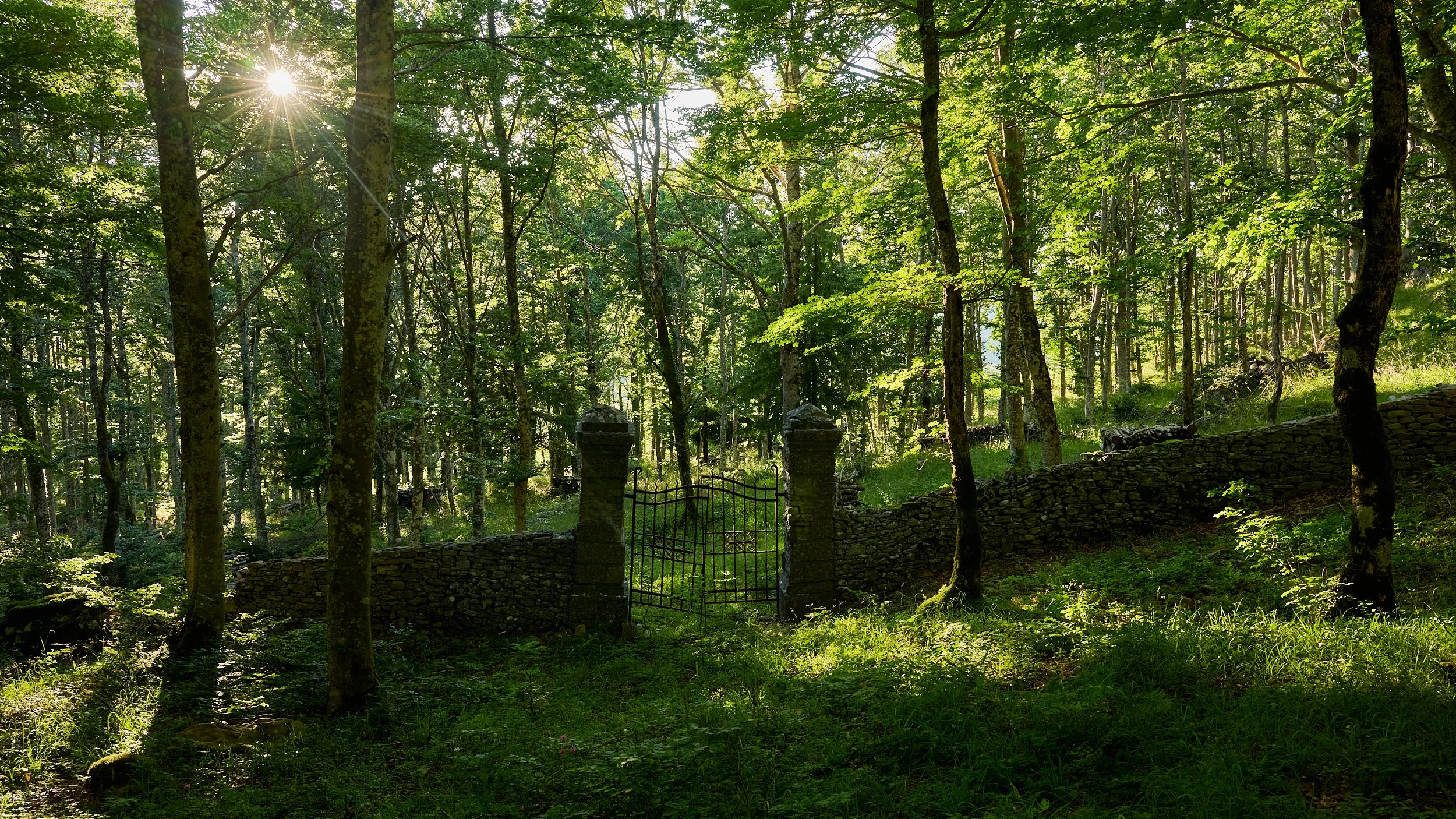 2025 - 06 giugno-044178.jpg