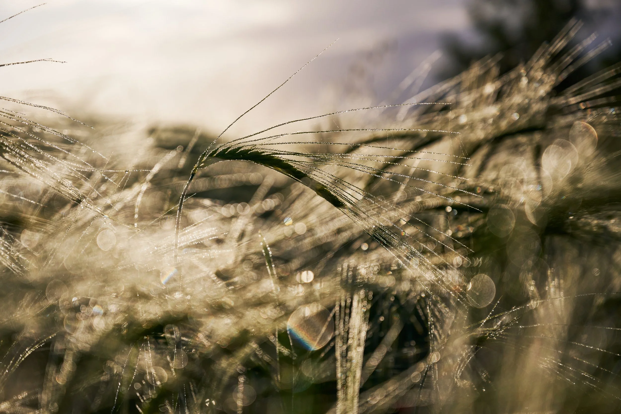 2023-05 maggio-017134.JPG