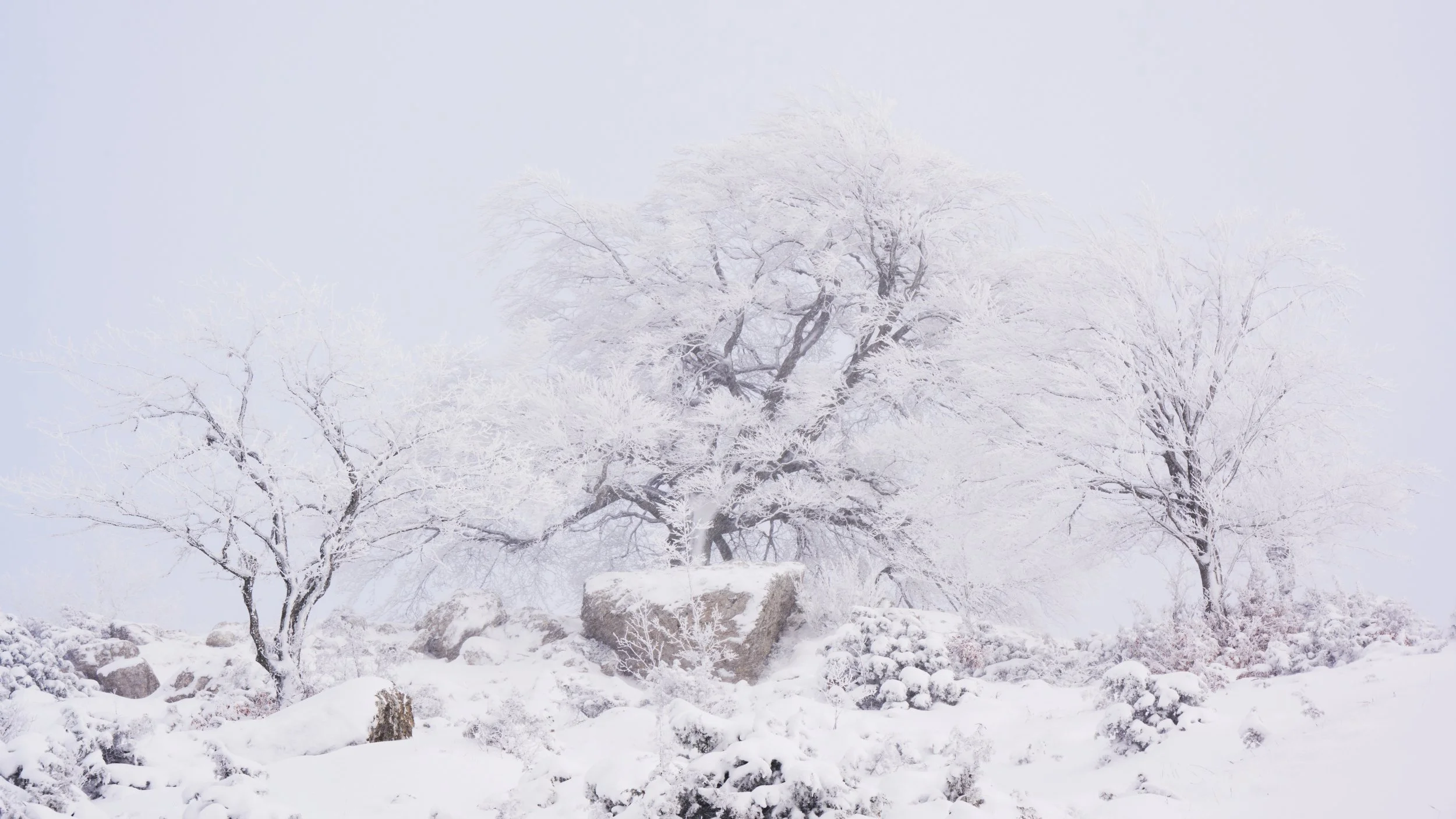 2023-01 gennaio-015374.JPG