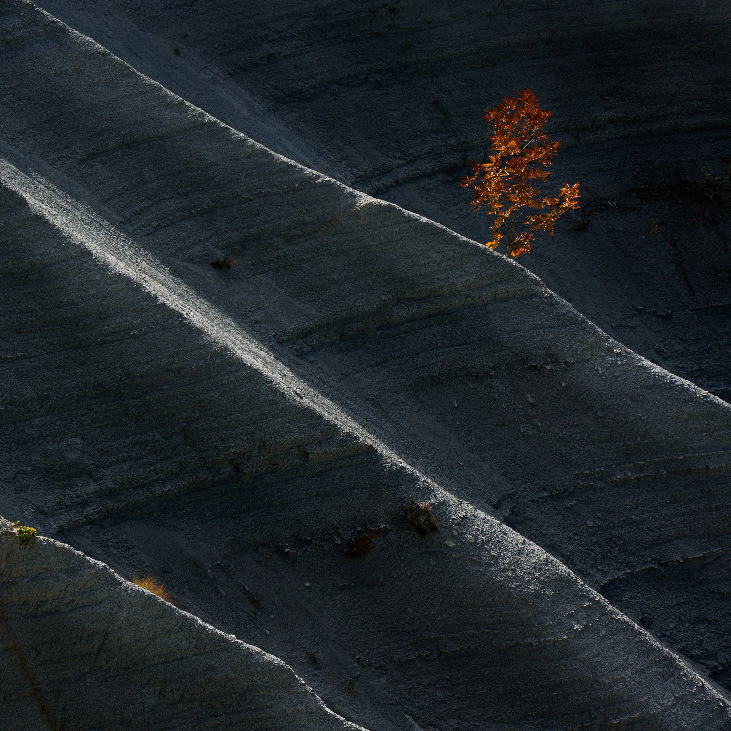 2022-10 ottobre-13361.JPG