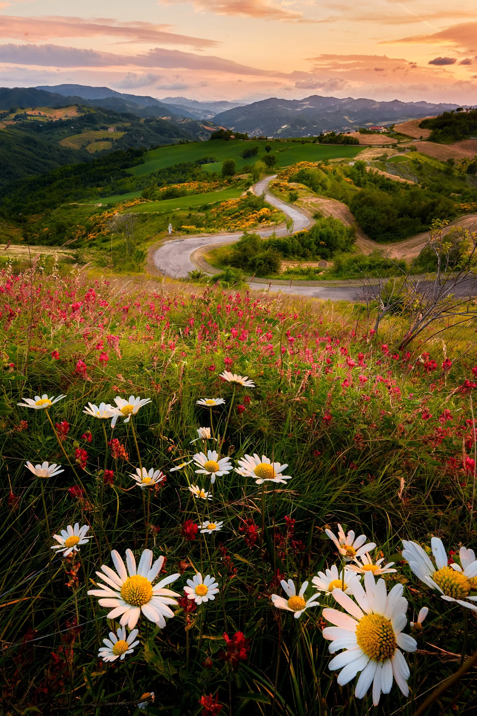 2024 - 06 giugno-030266.jpg