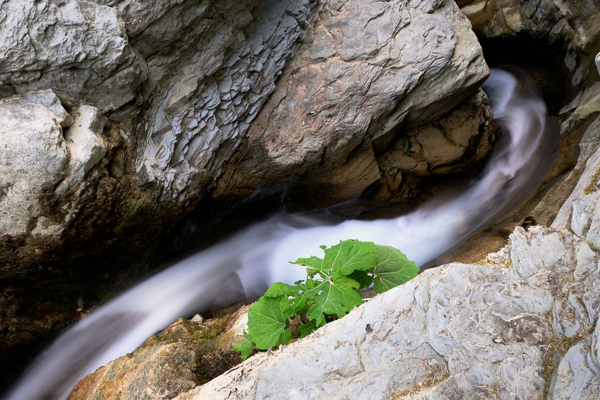 2021-06-27 Grotta urlante-321.JPG