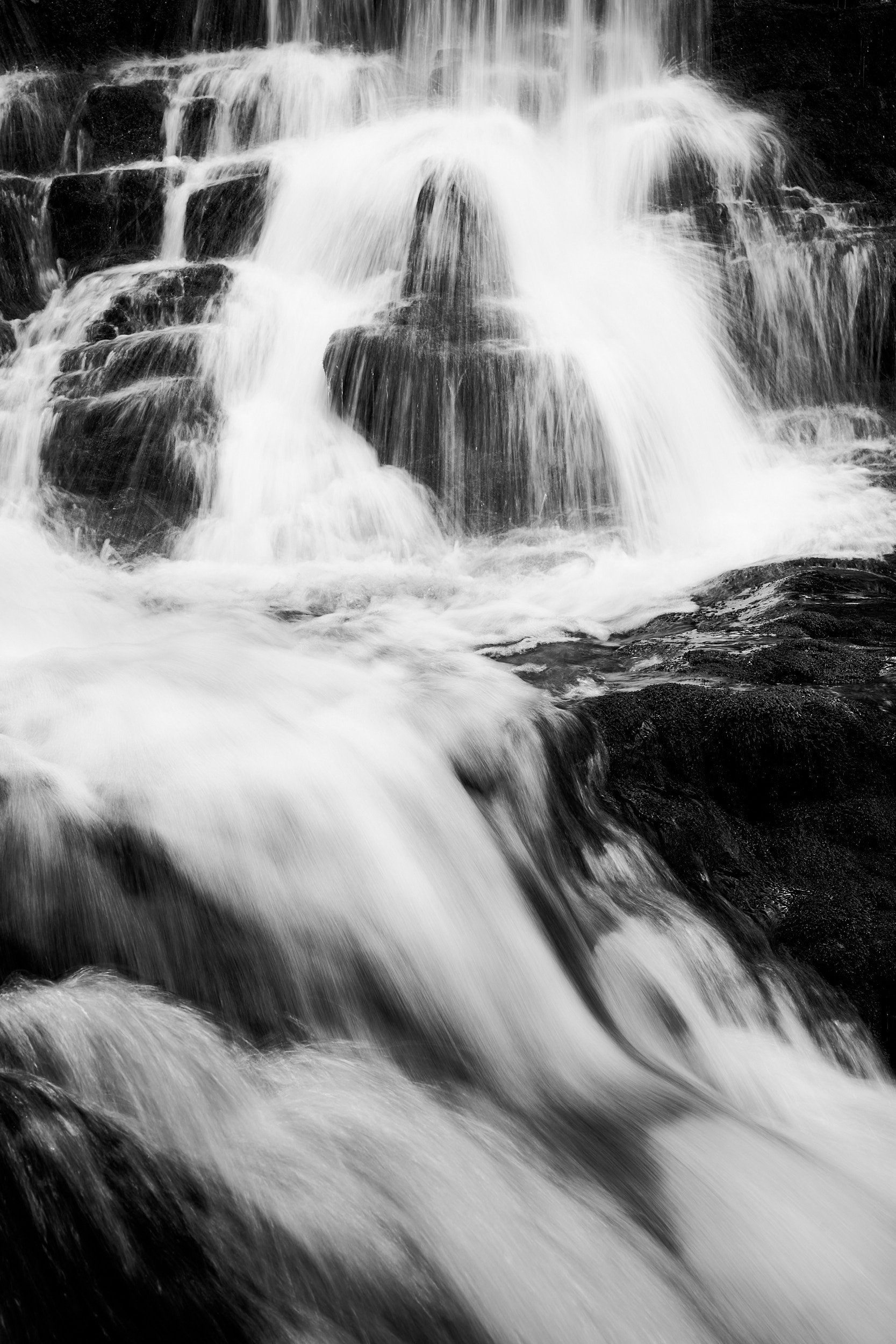 2023-06 giugno-018609.jpg