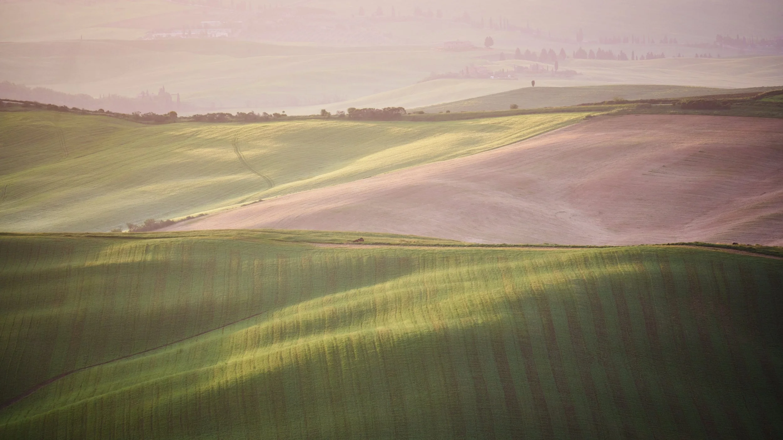 2023-05 maggio-017016.JPG