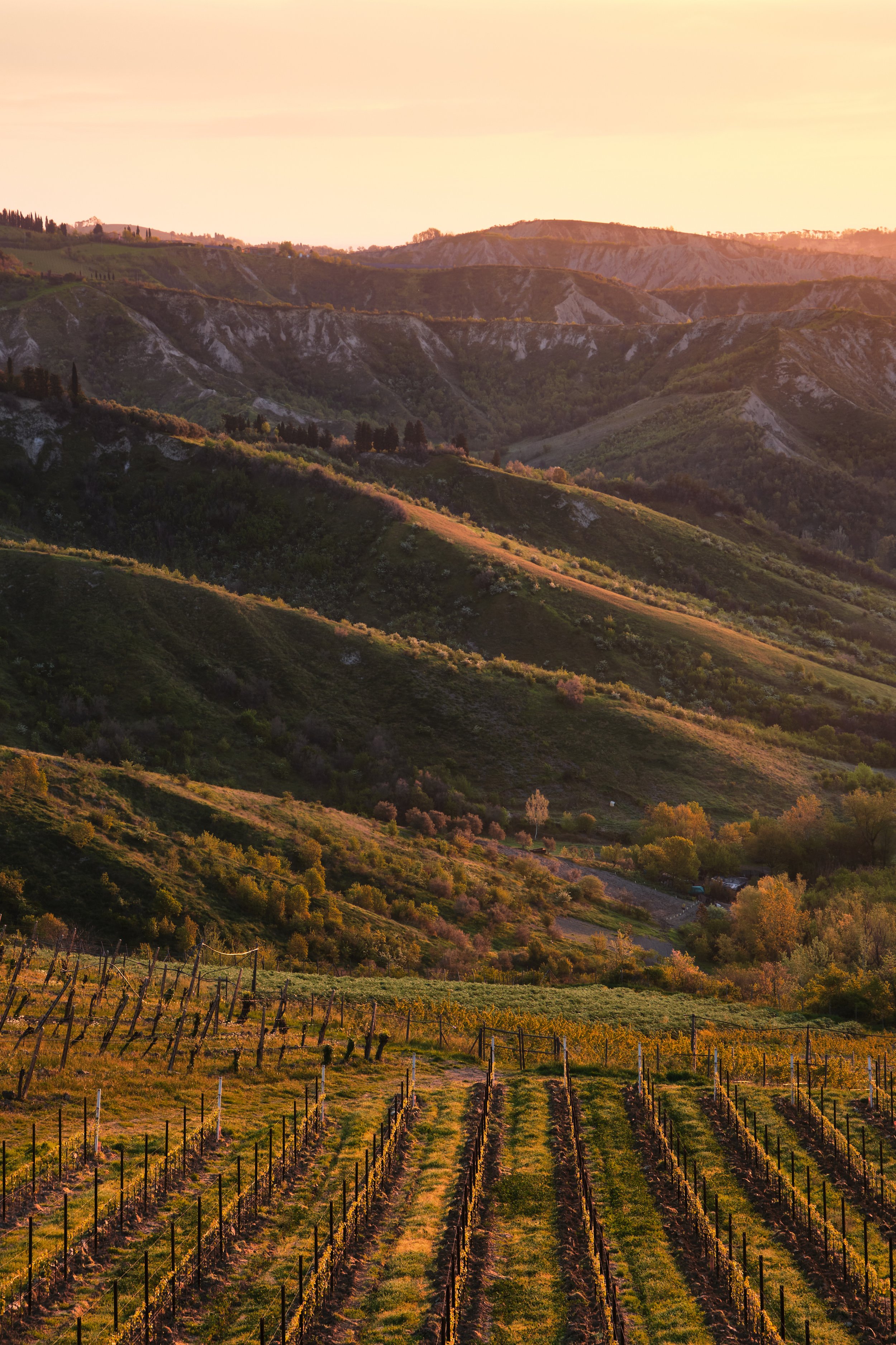 2022-04 aprile-8031.JPG