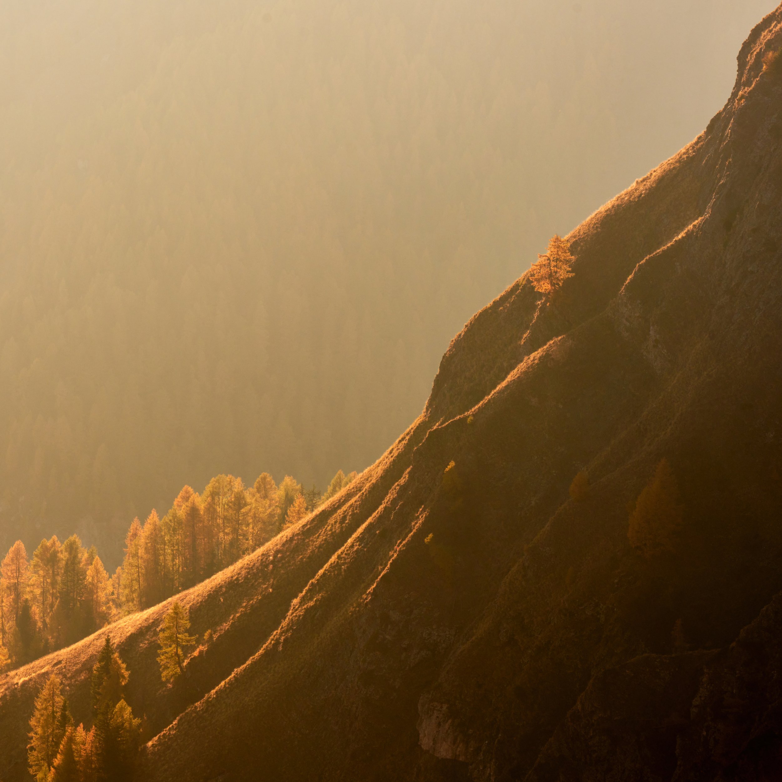 2022-10 ottobre Dolomiti-13735.JPG