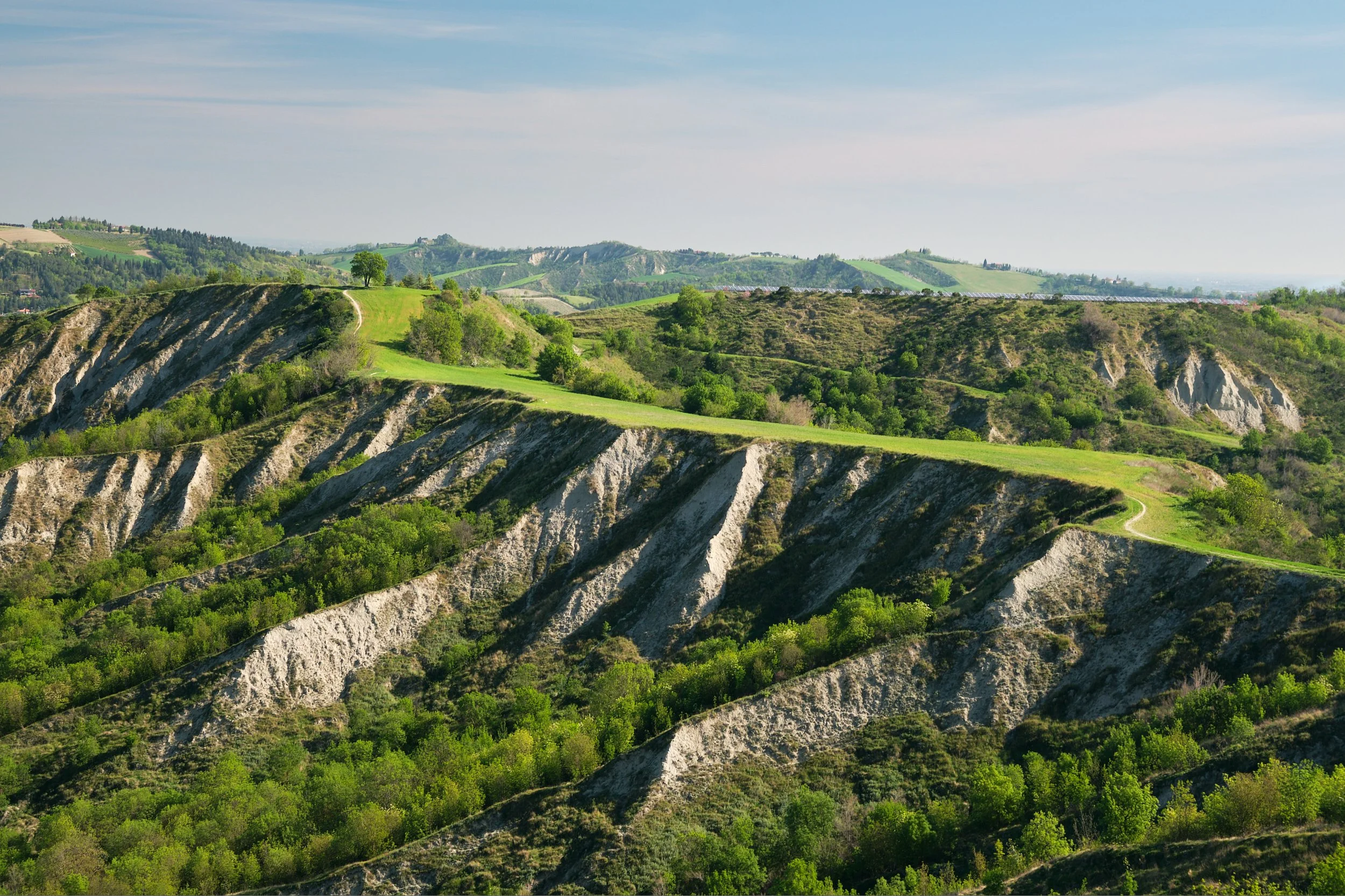 2022-04 aprile-8137.jpg