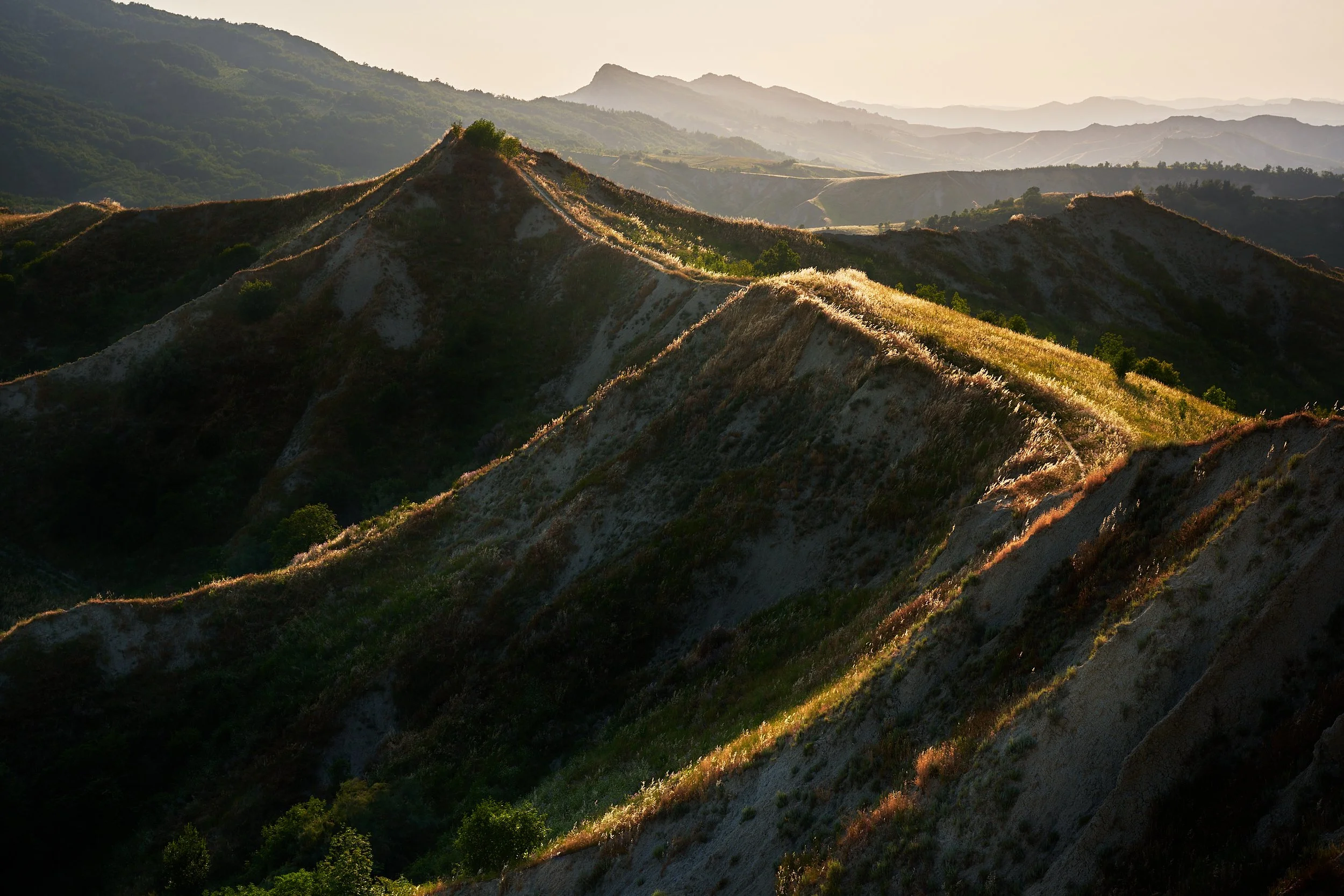 2025 - 06 giugno-043990.jpg