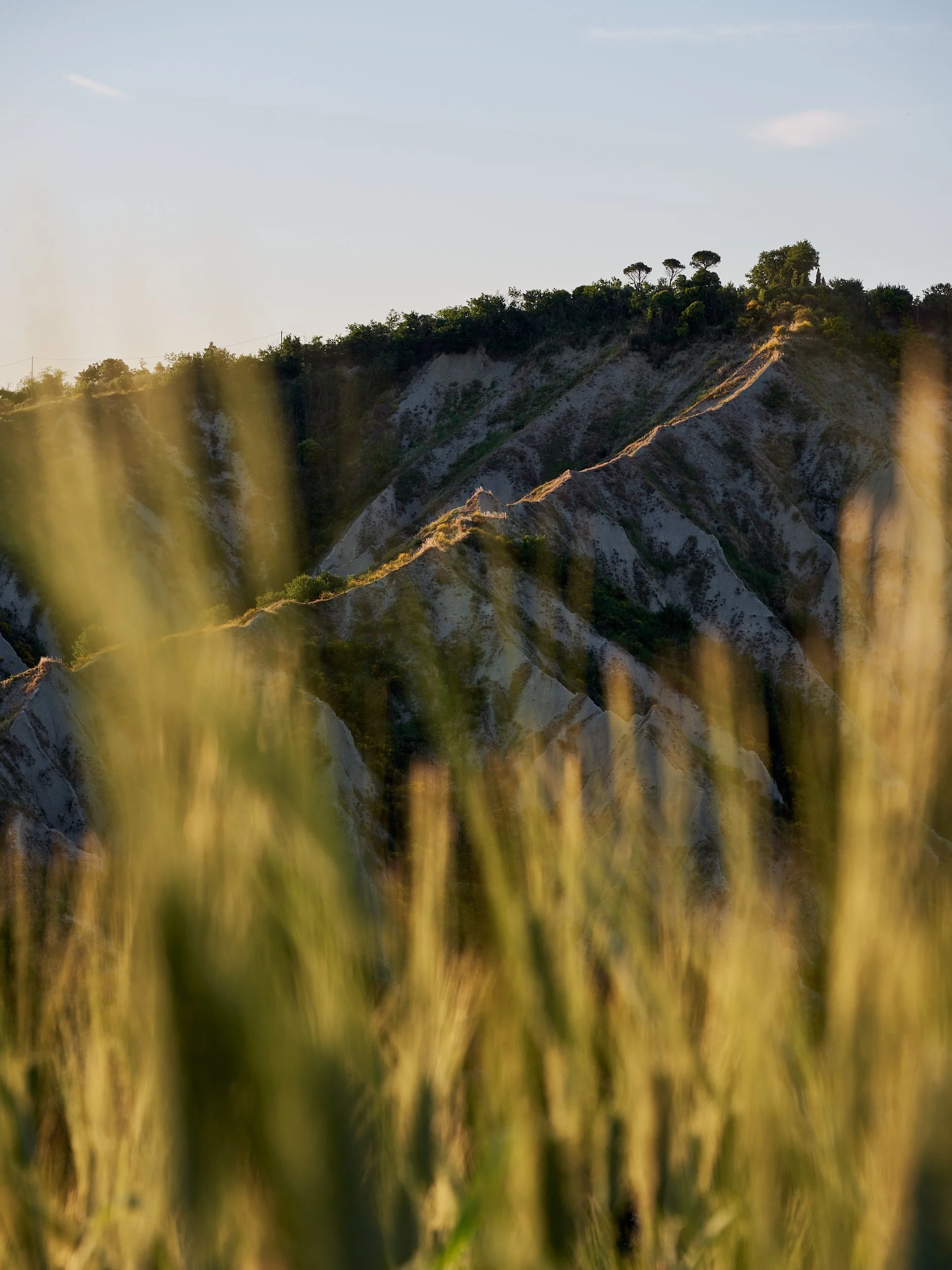 2025 - 05 maggio-043741.jpg