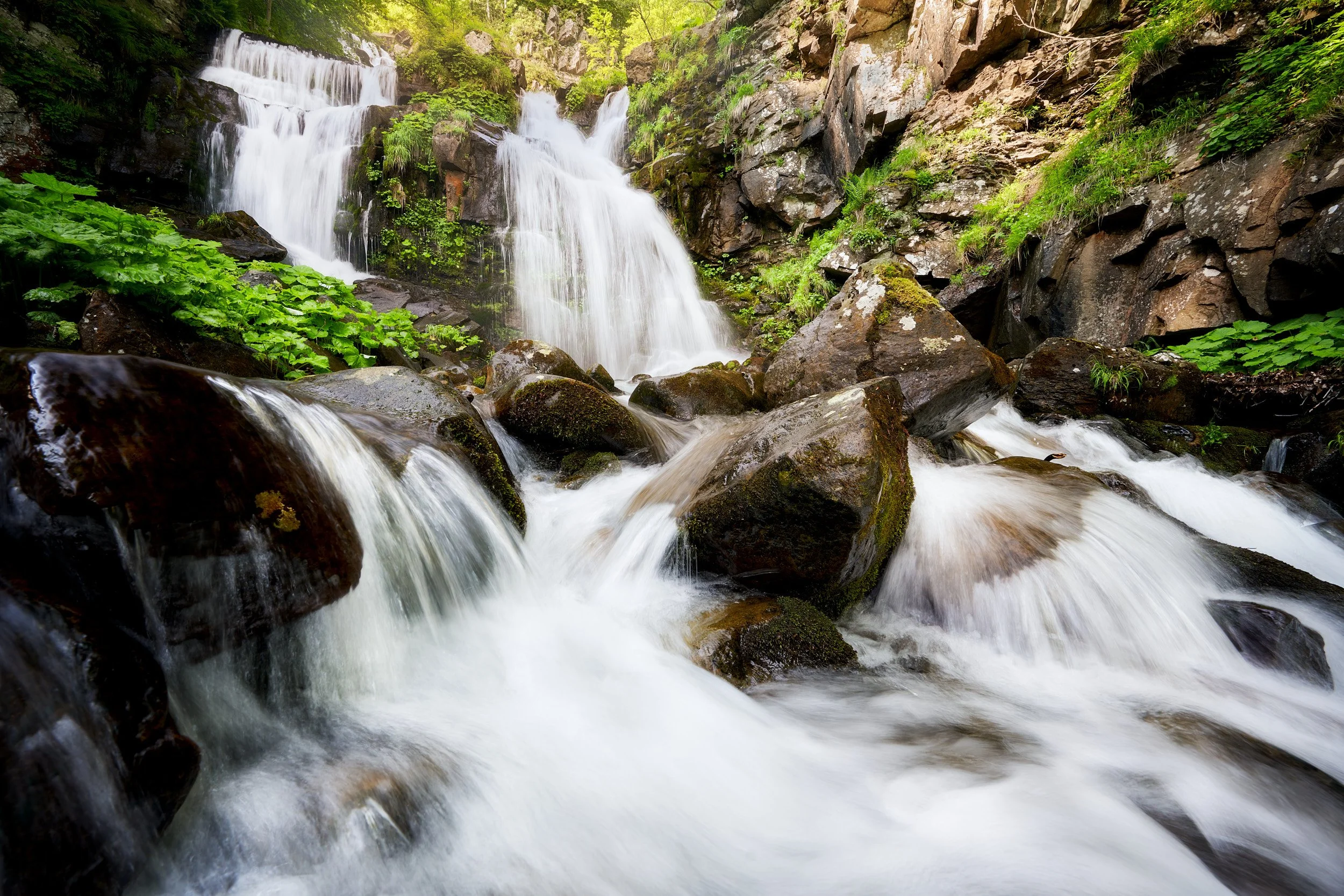 2023-06 giugno-019443.jpg