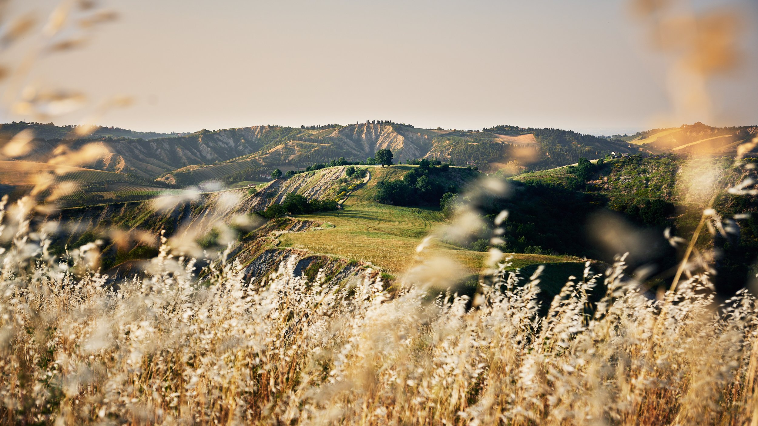 2025 - 06 giugno-044001.jpg