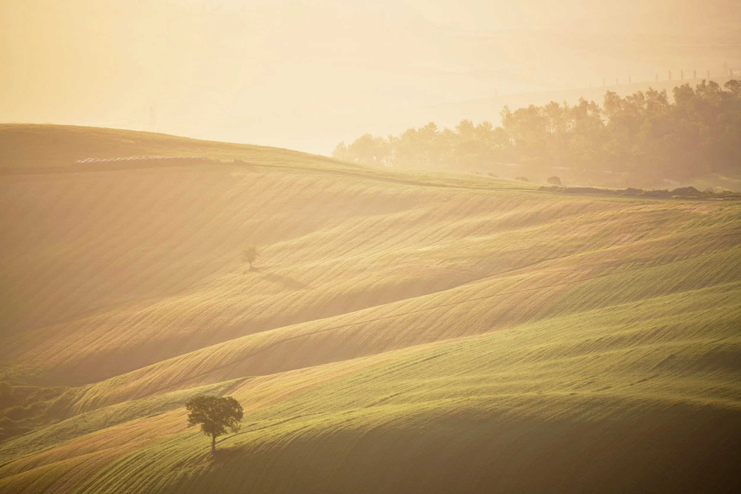 2023-05 maggio-017077.JPG