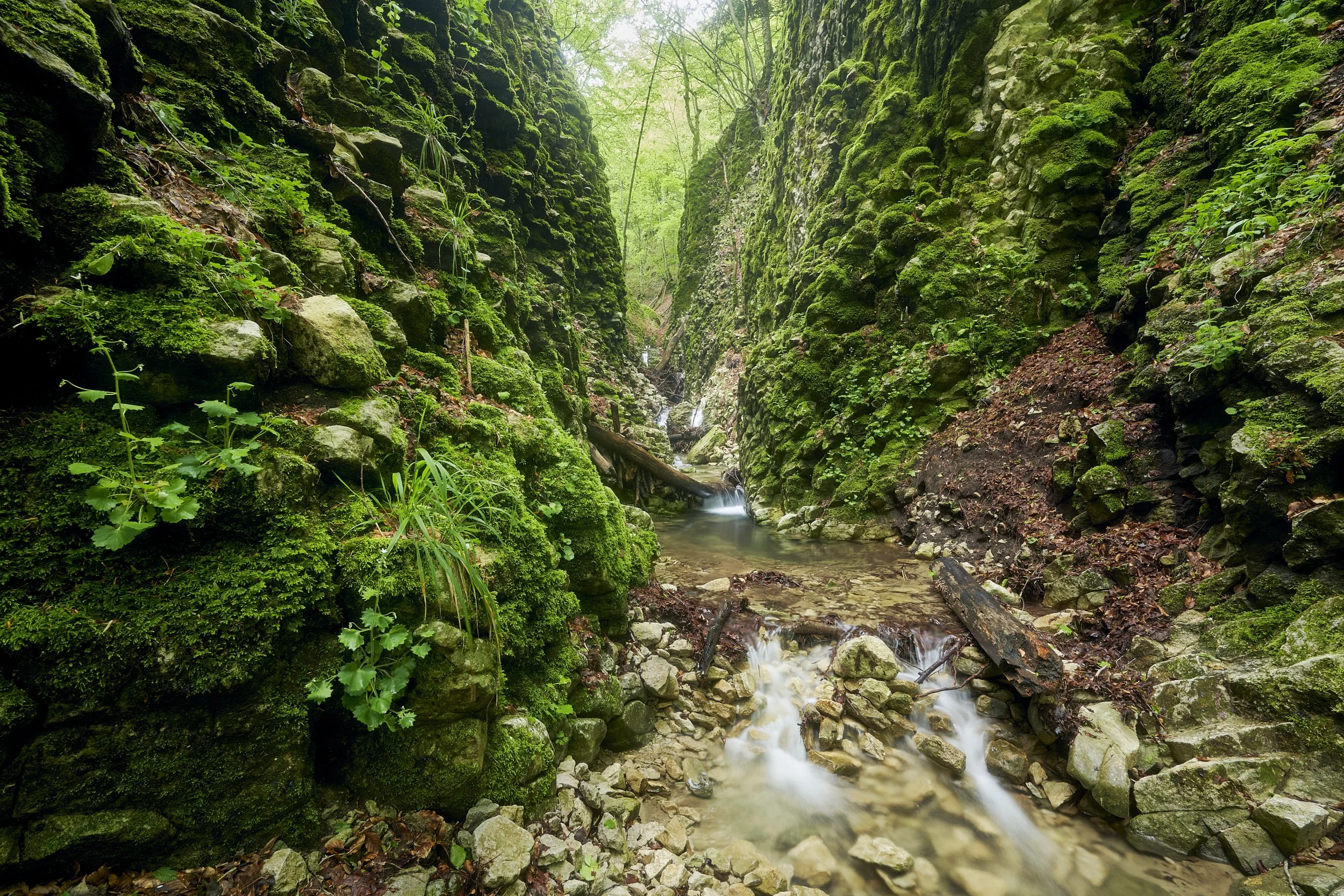 2025 - 05 maggio-044109.jpg