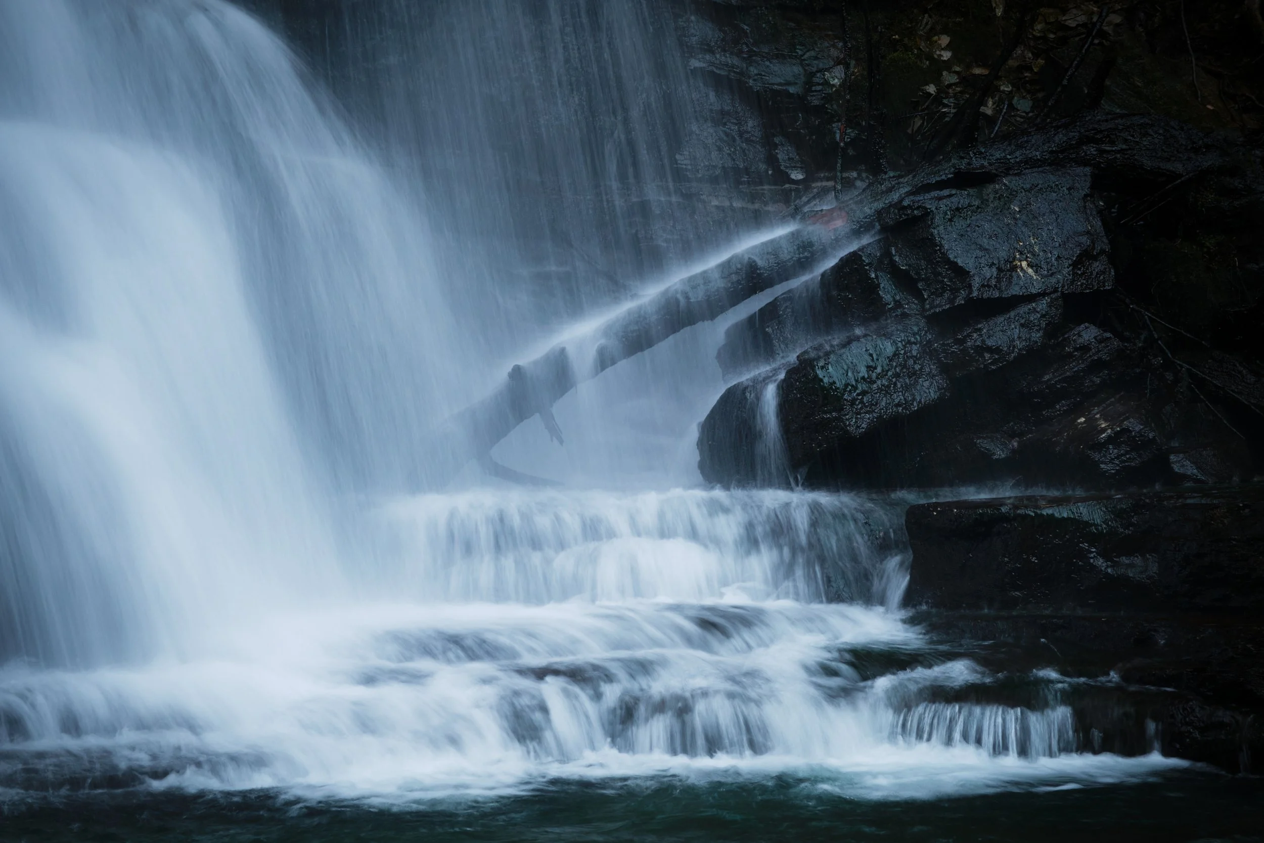 2022-02 febbraio-6992.JPG