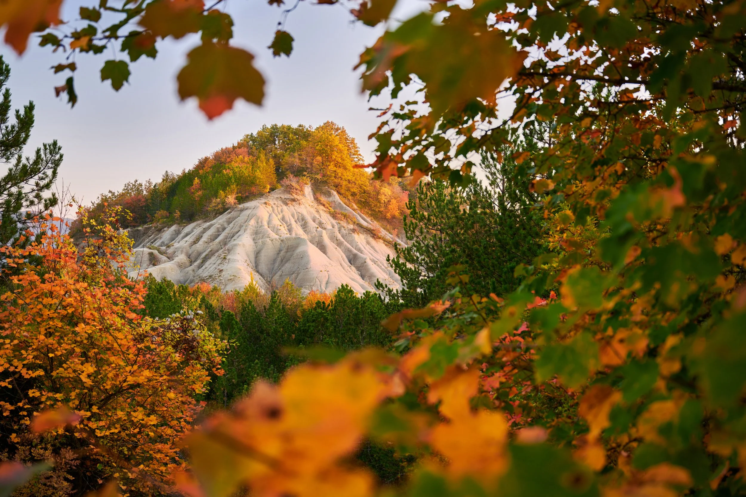 2022-10 ottobre-14010.JPG