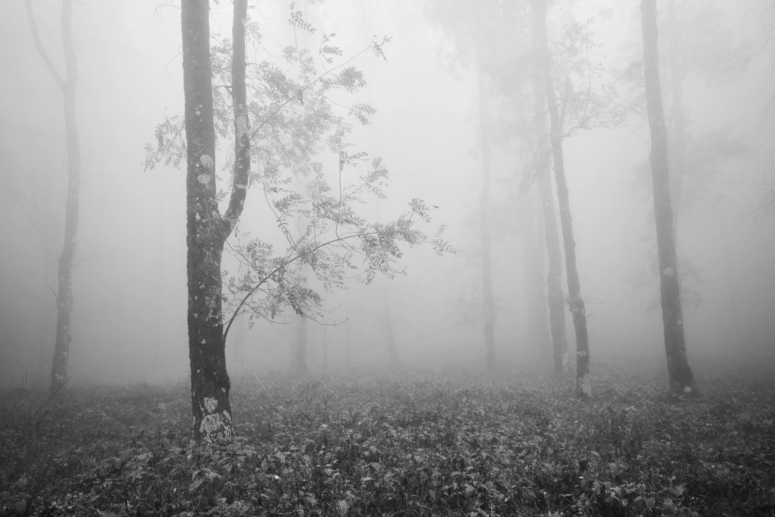 2022-10 ottobre-14164.JPG