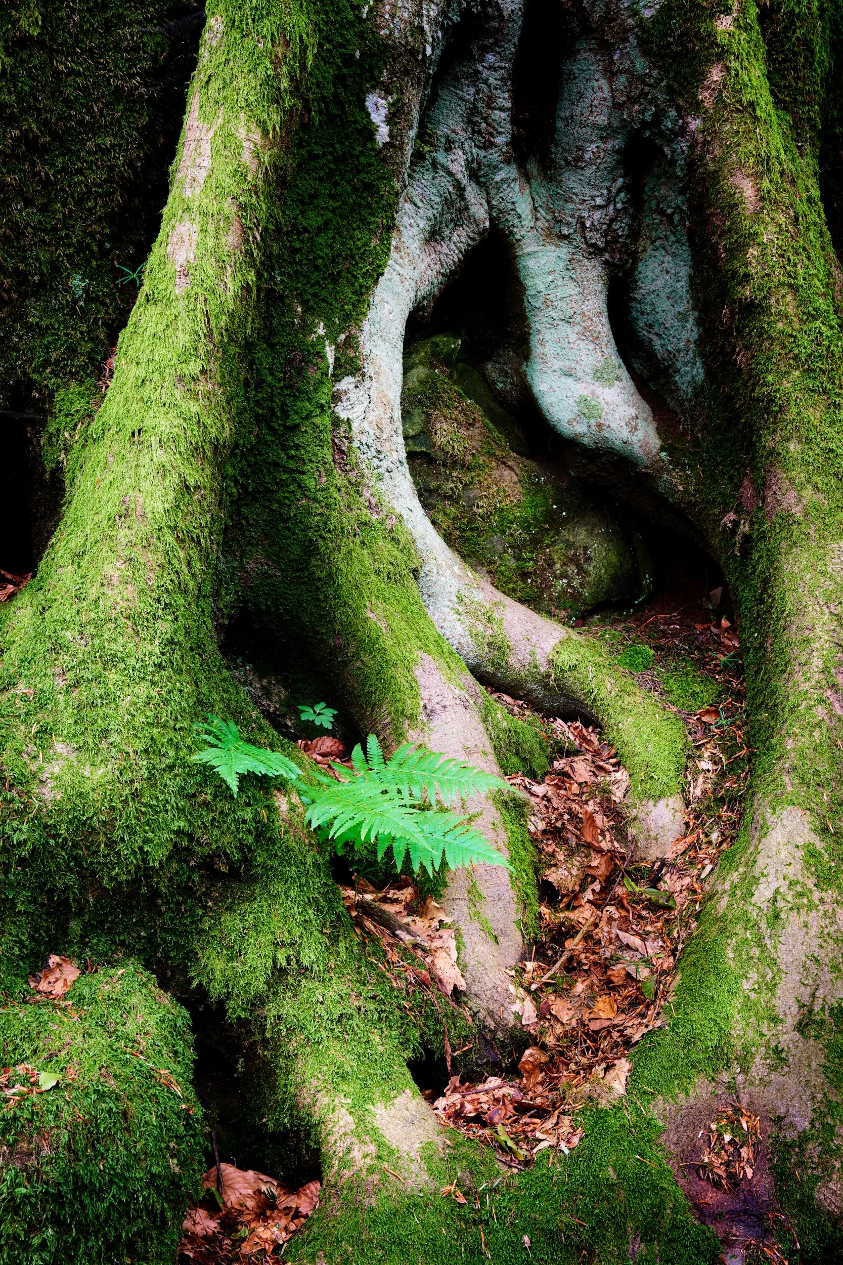 2023-06 giugno-018827.JPG