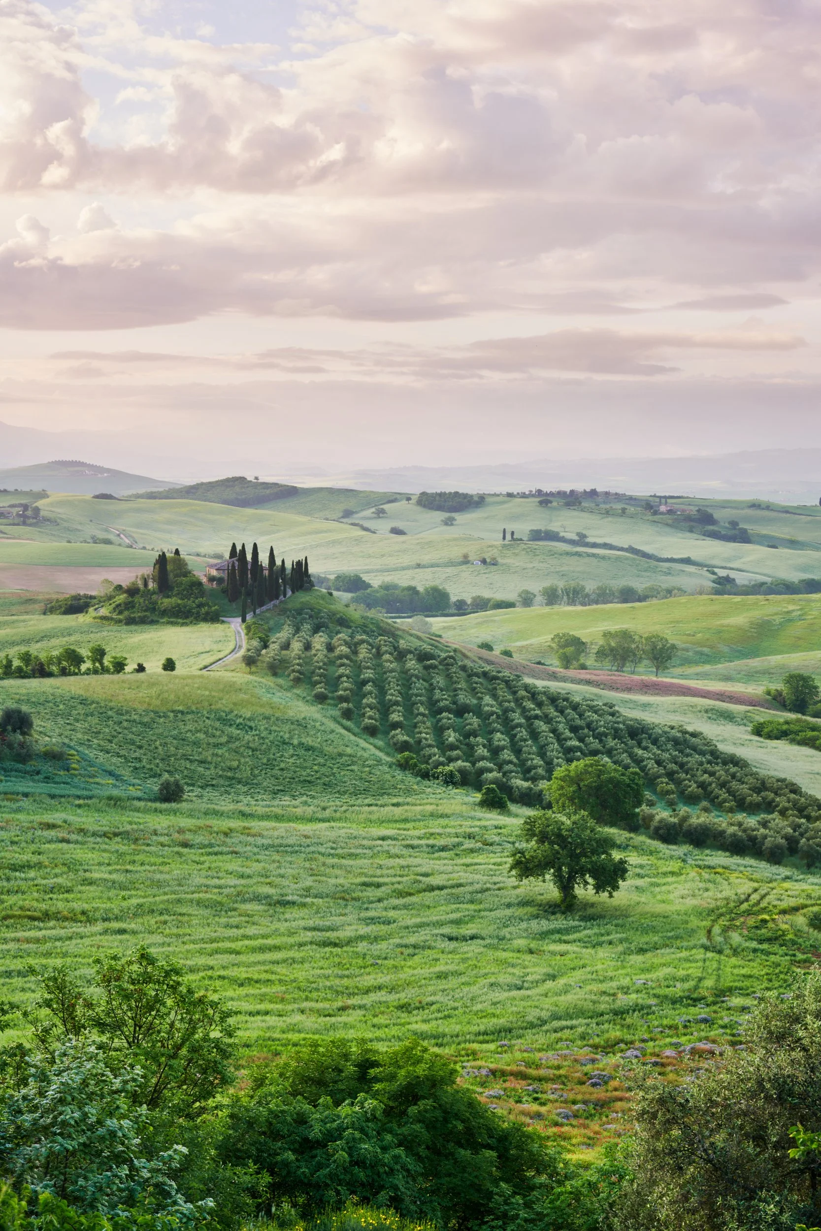 2023-05 maggio-017118.JPG