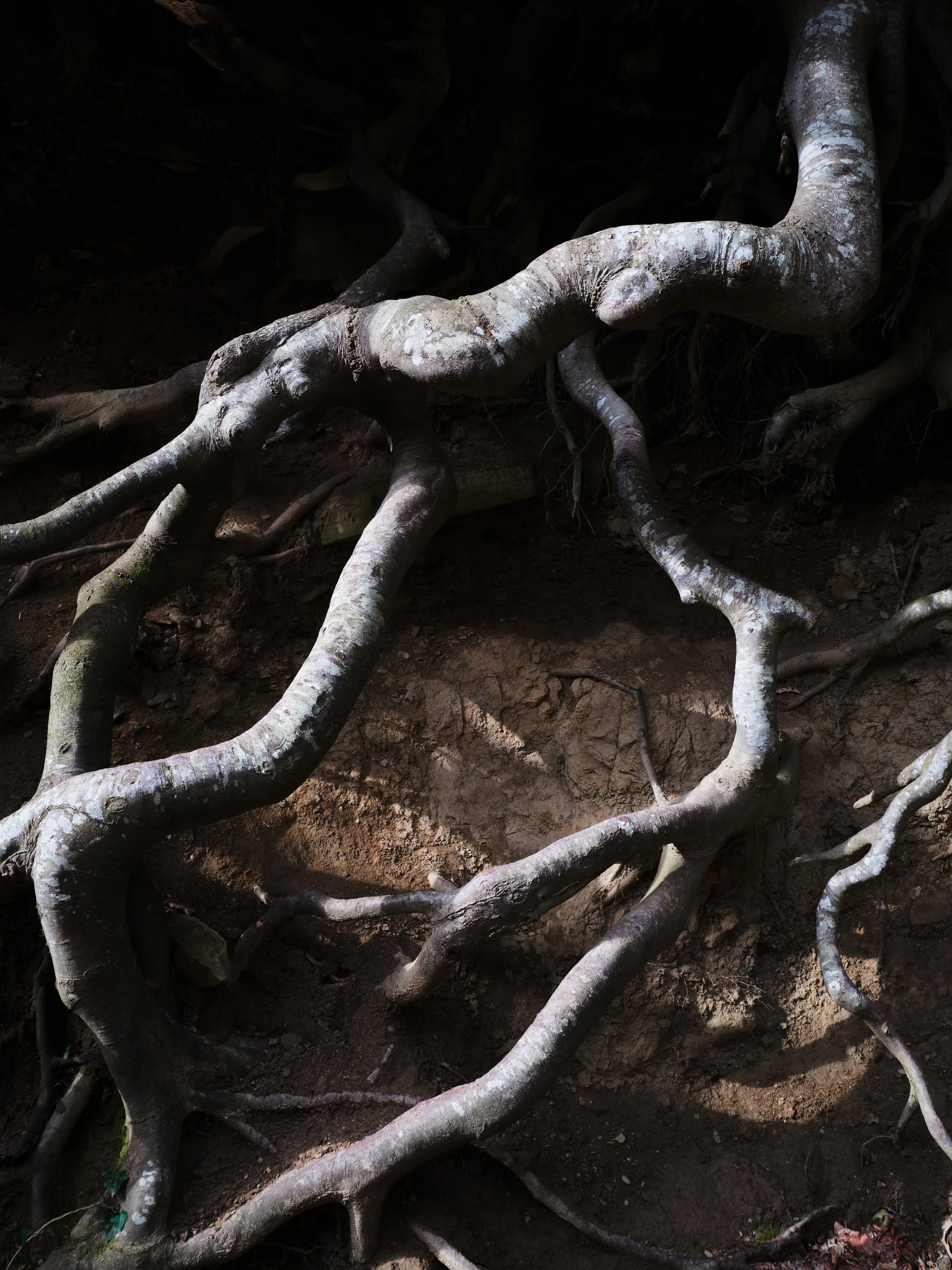 2022-02 febbraio-7239.JPG