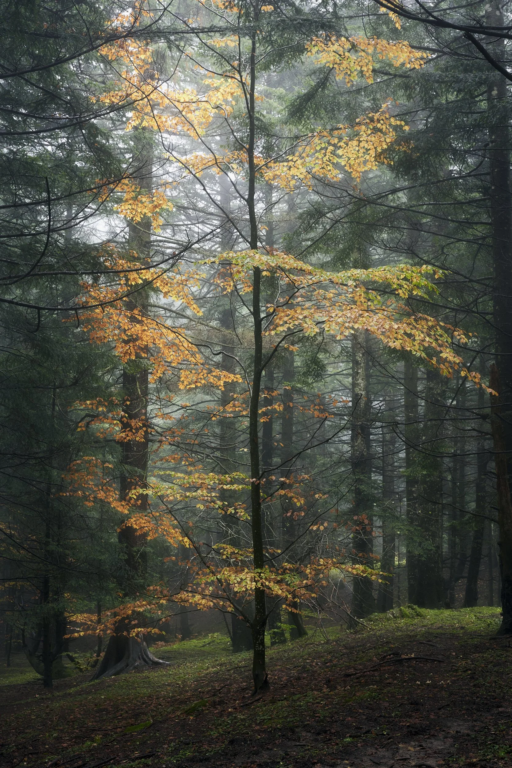 2024 - 10 ottobre-032969.jpg