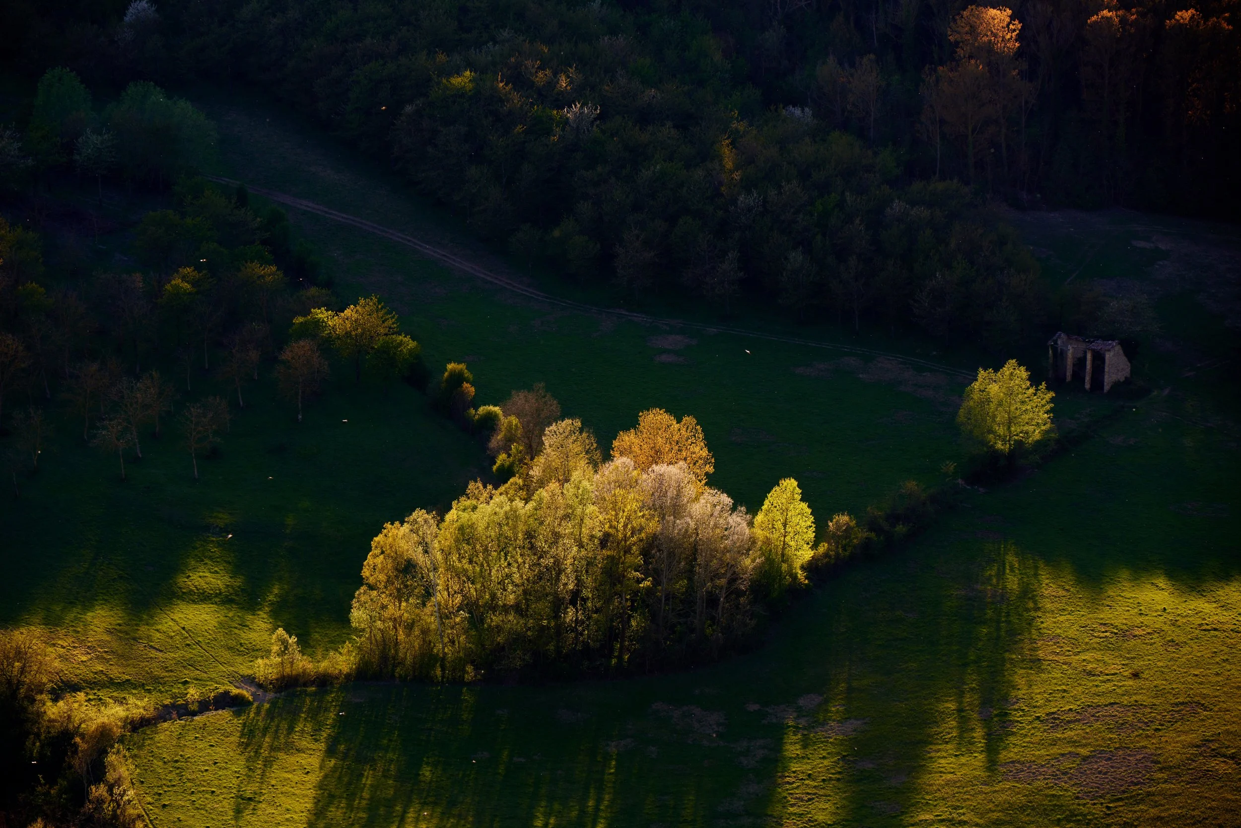 2023-04 aprile-016540.JPG