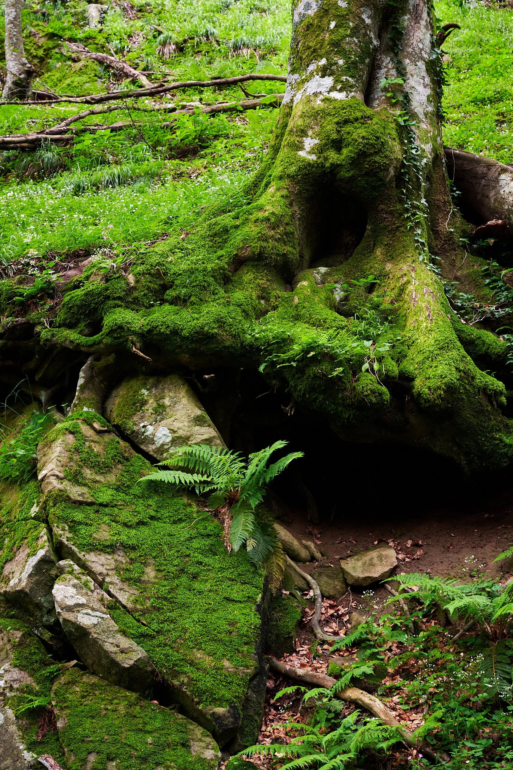 2023-06 giugno-017907.jpg