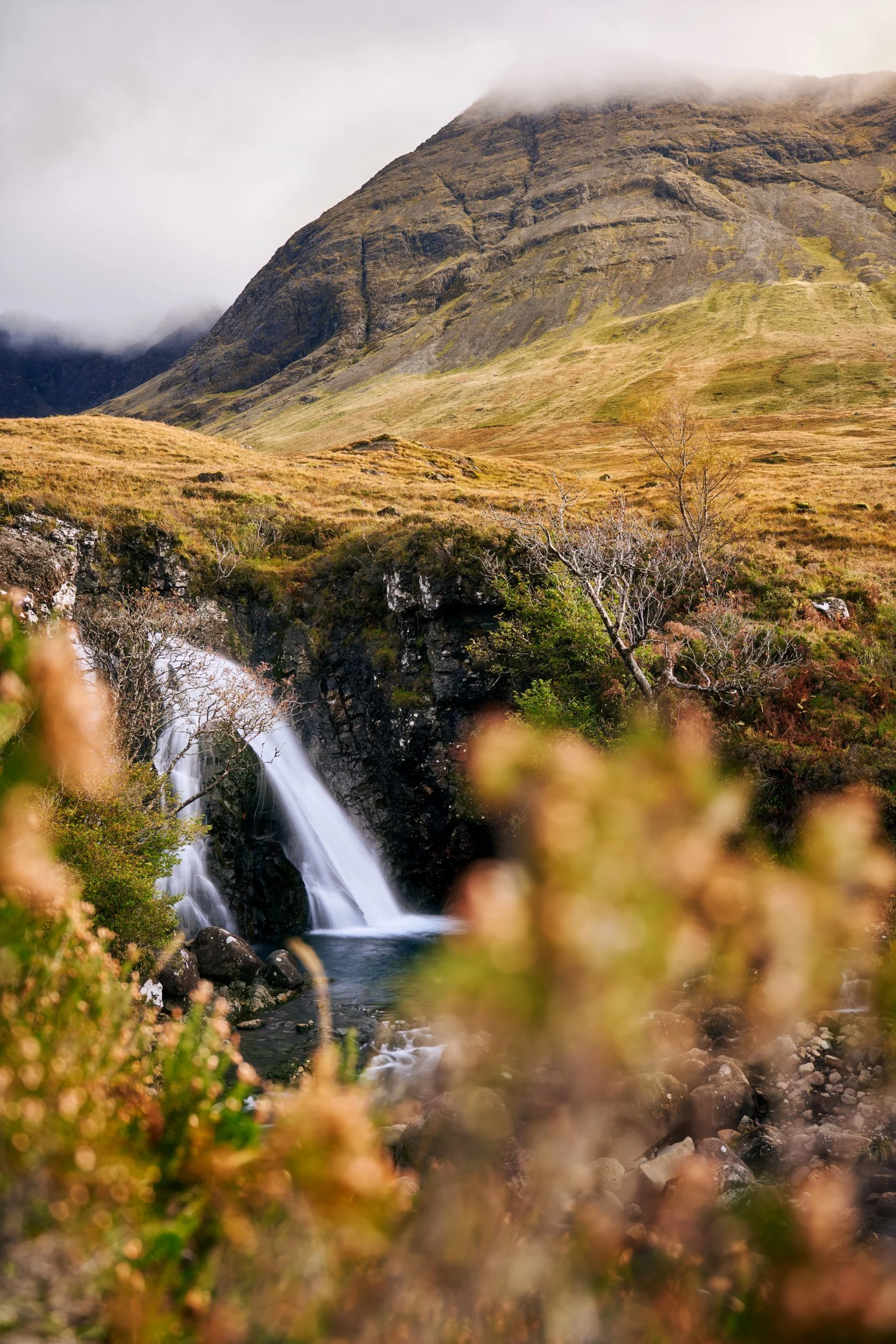 2023-10 Scozia-020946_01.JPG