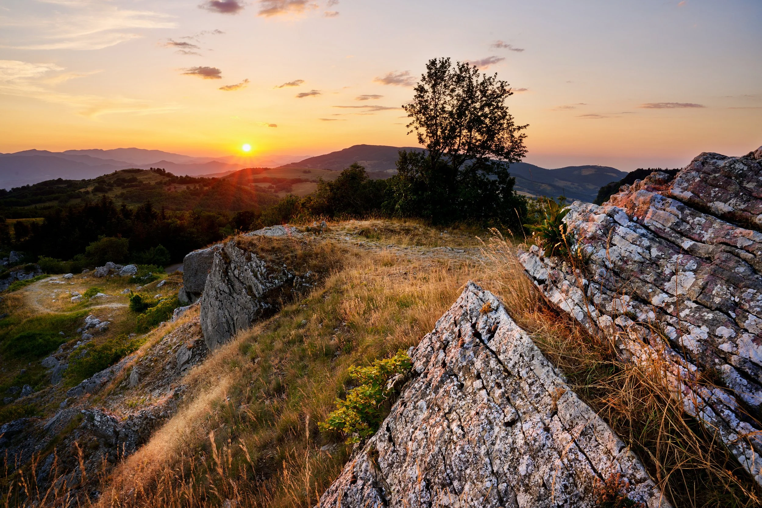 2022-07 luglio-13098.JPG