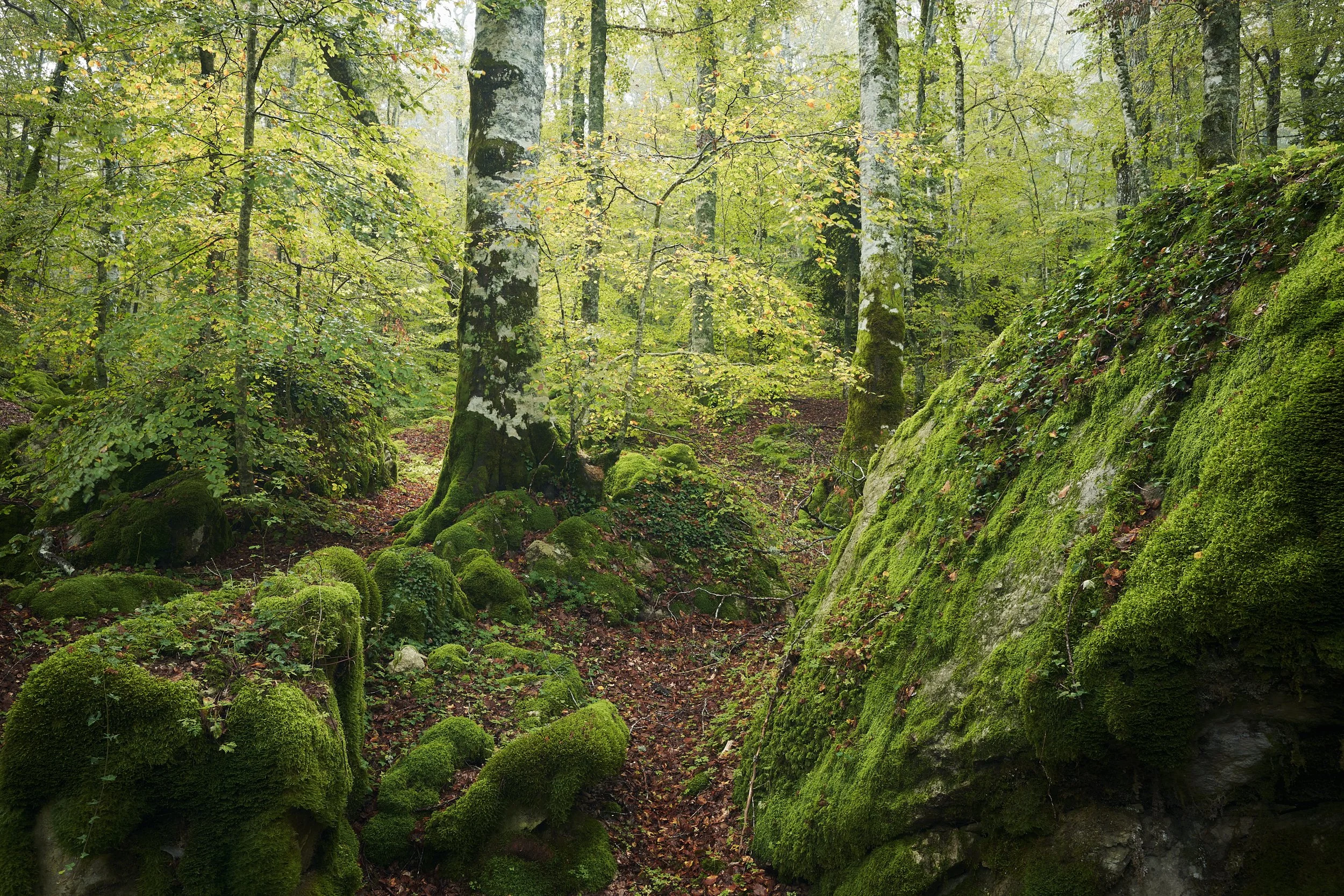 2024 - 10 ottobre-033769.jpg