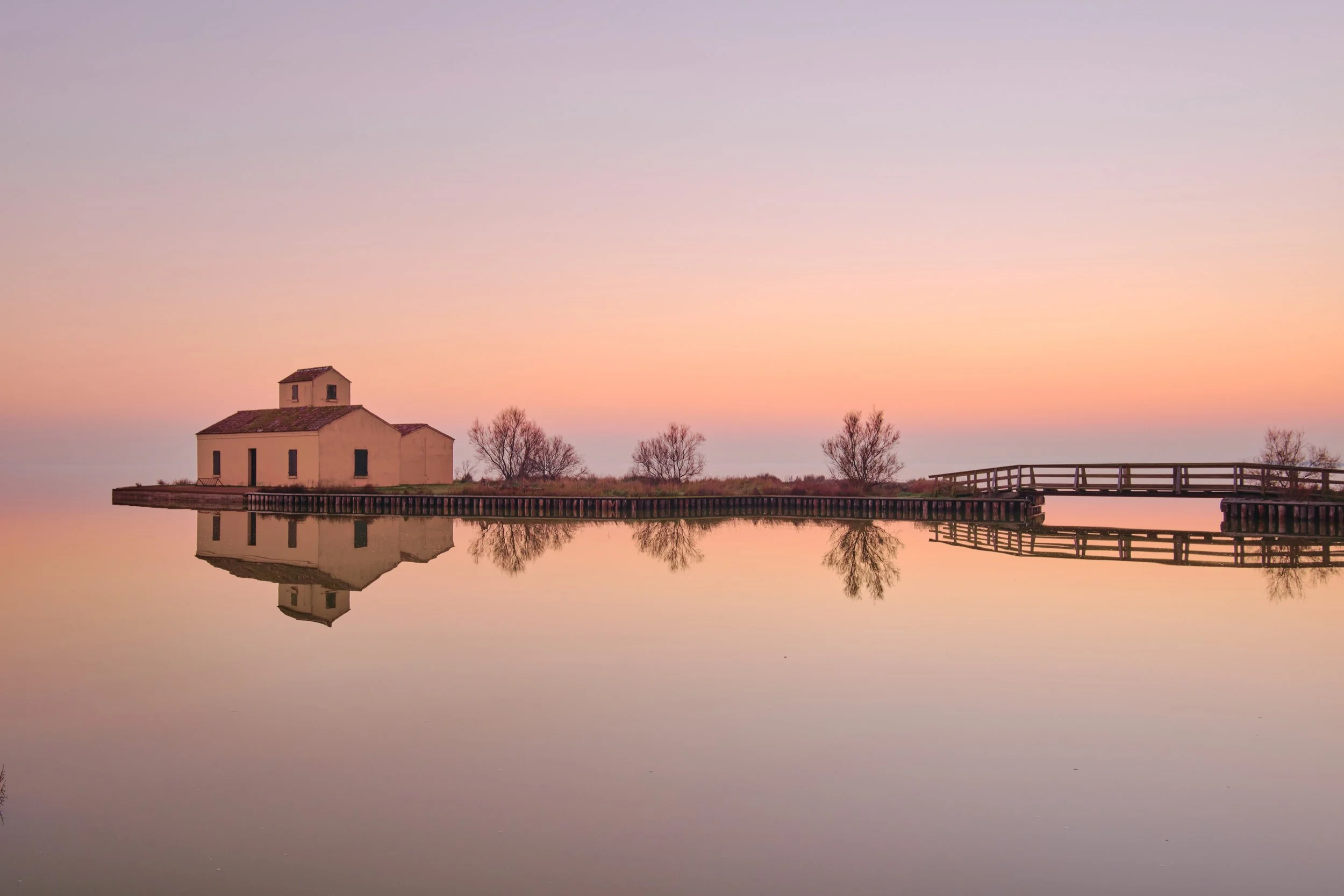 2022-01 gennaio-6839.JPG