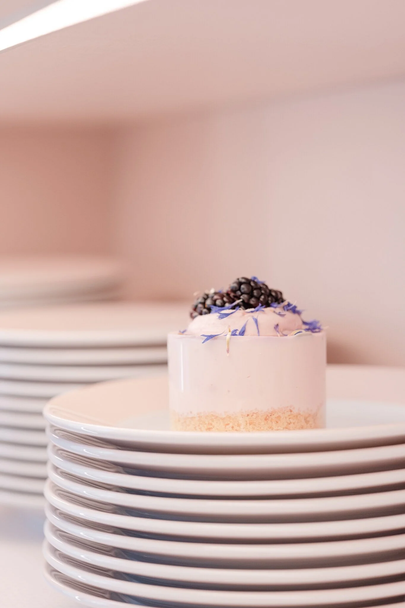domácí zákusky cheesecake.jpg