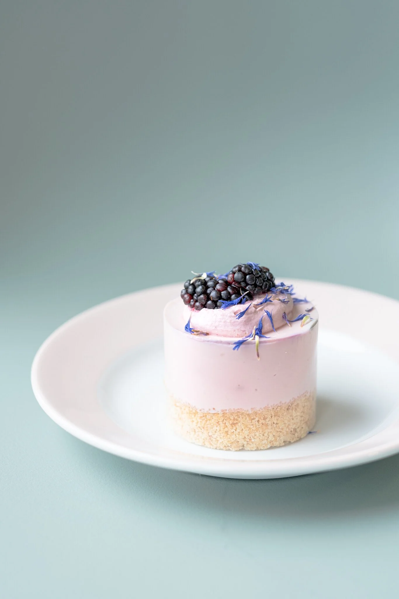 domácí zákusky cheesecake.jpg