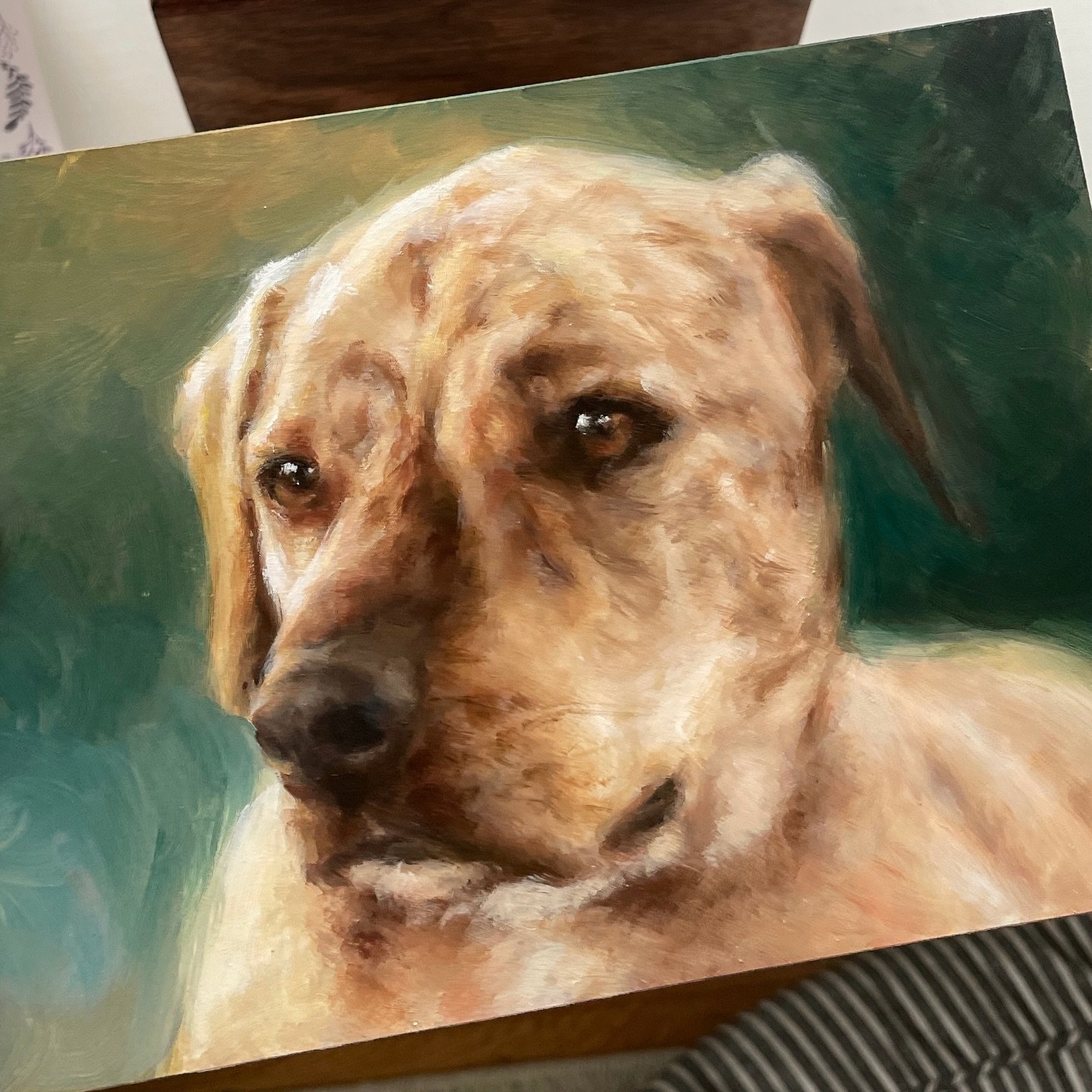 Painting of Walter 💗🐾

#dogpainting #petportraitartist #petportraiture #petportraitsofinstagram #realisticart #artoninstagram #dogart