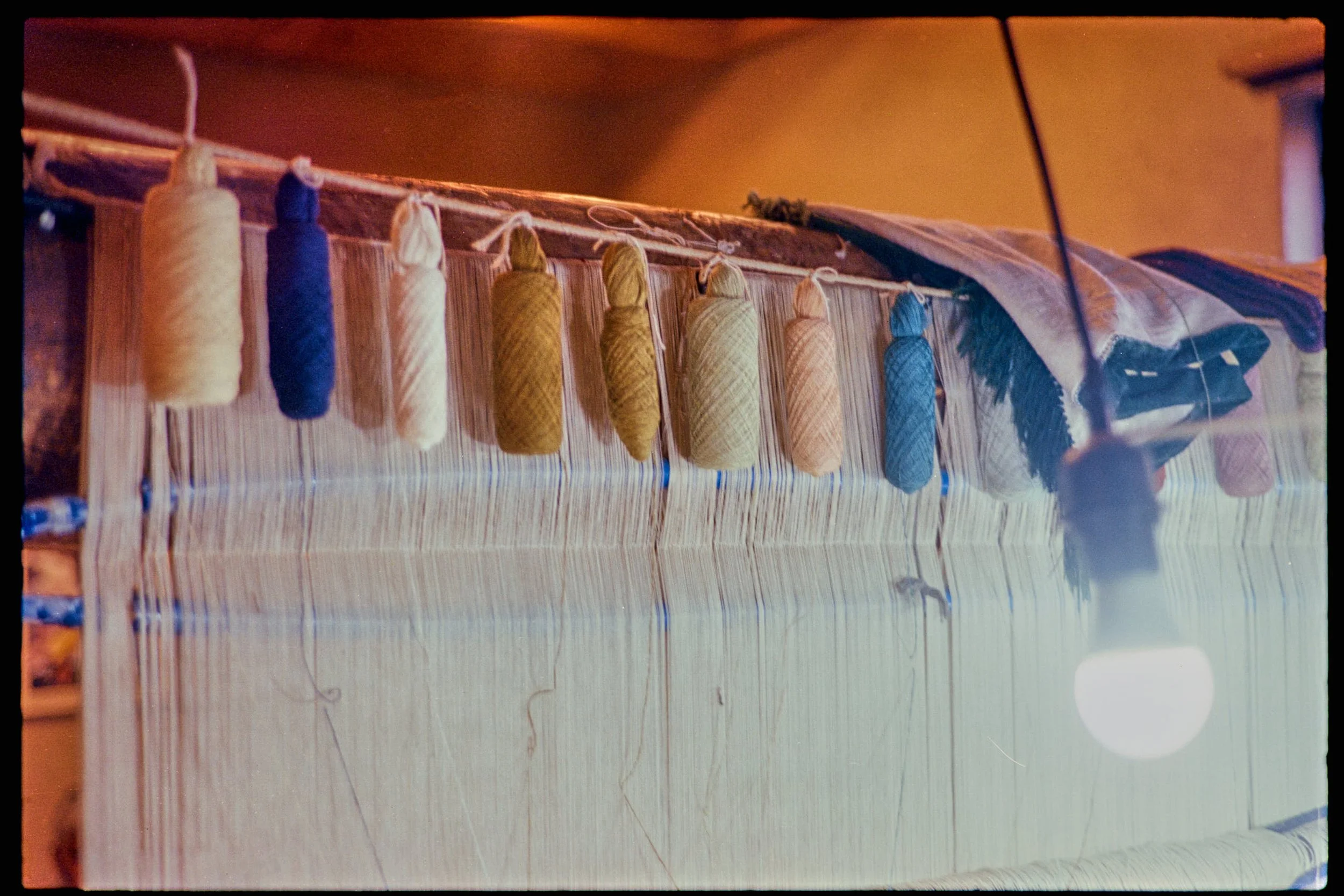 Pro Scans Aug 43286-positive.jpg