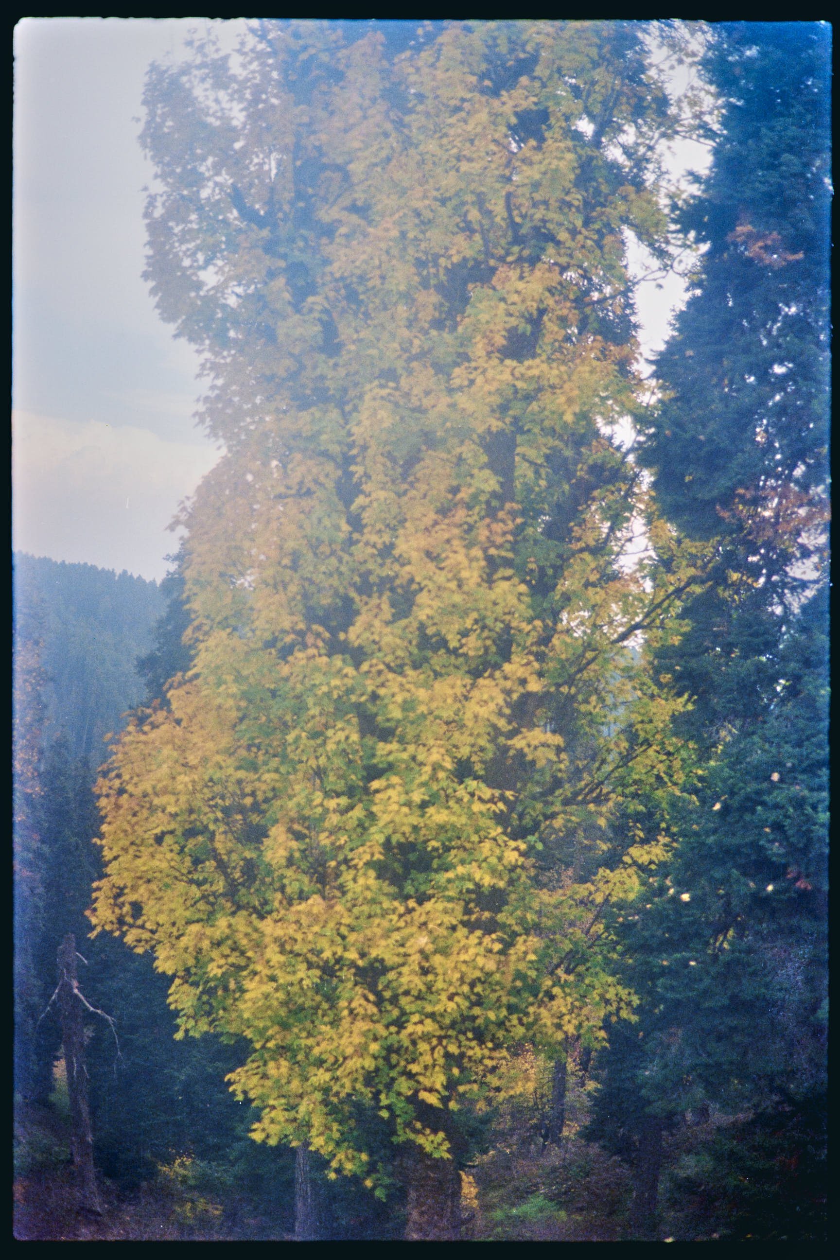 Pro Scans Aug 43241-positive.jpg