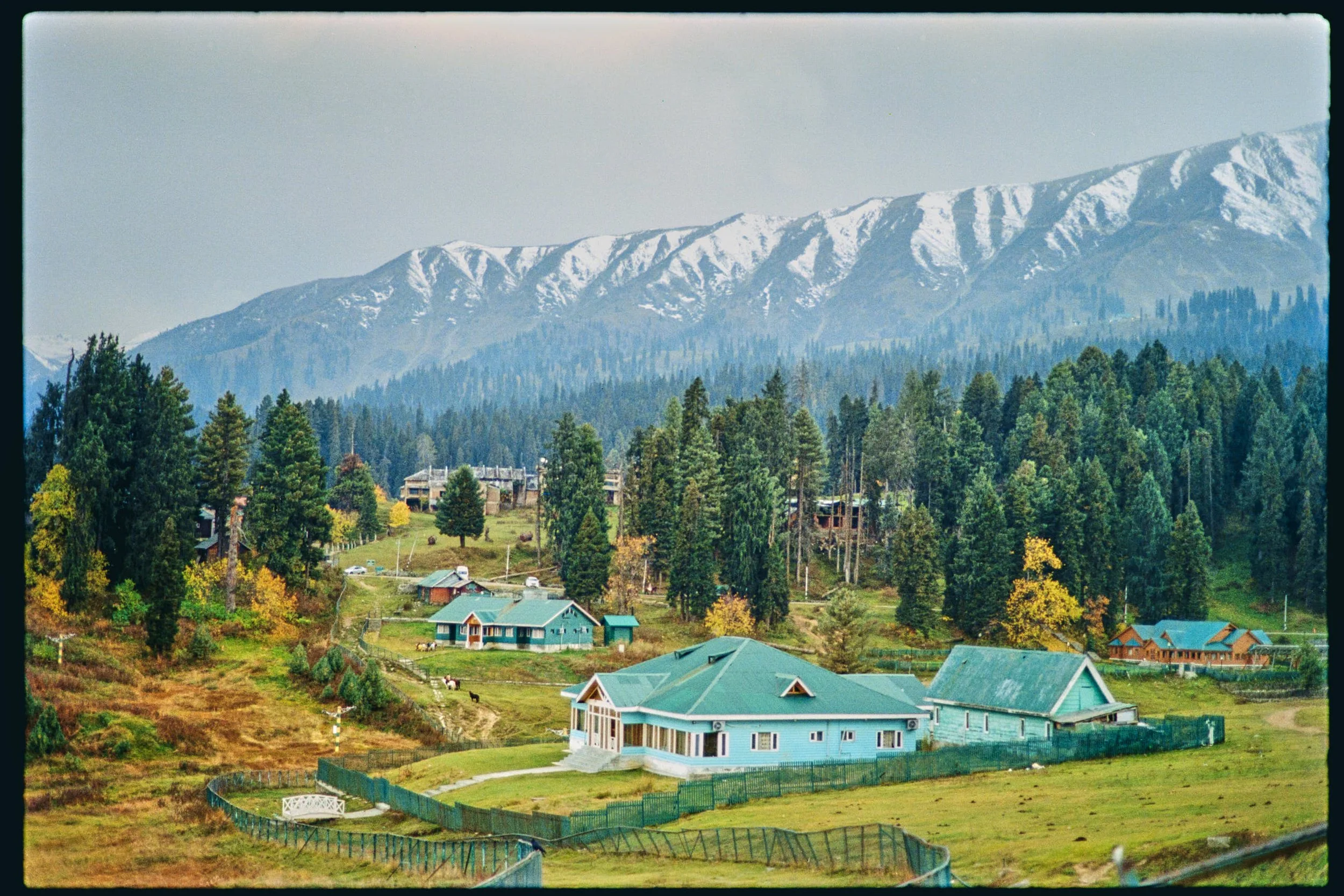 Pro Scans Aug 43242-positive.jpg