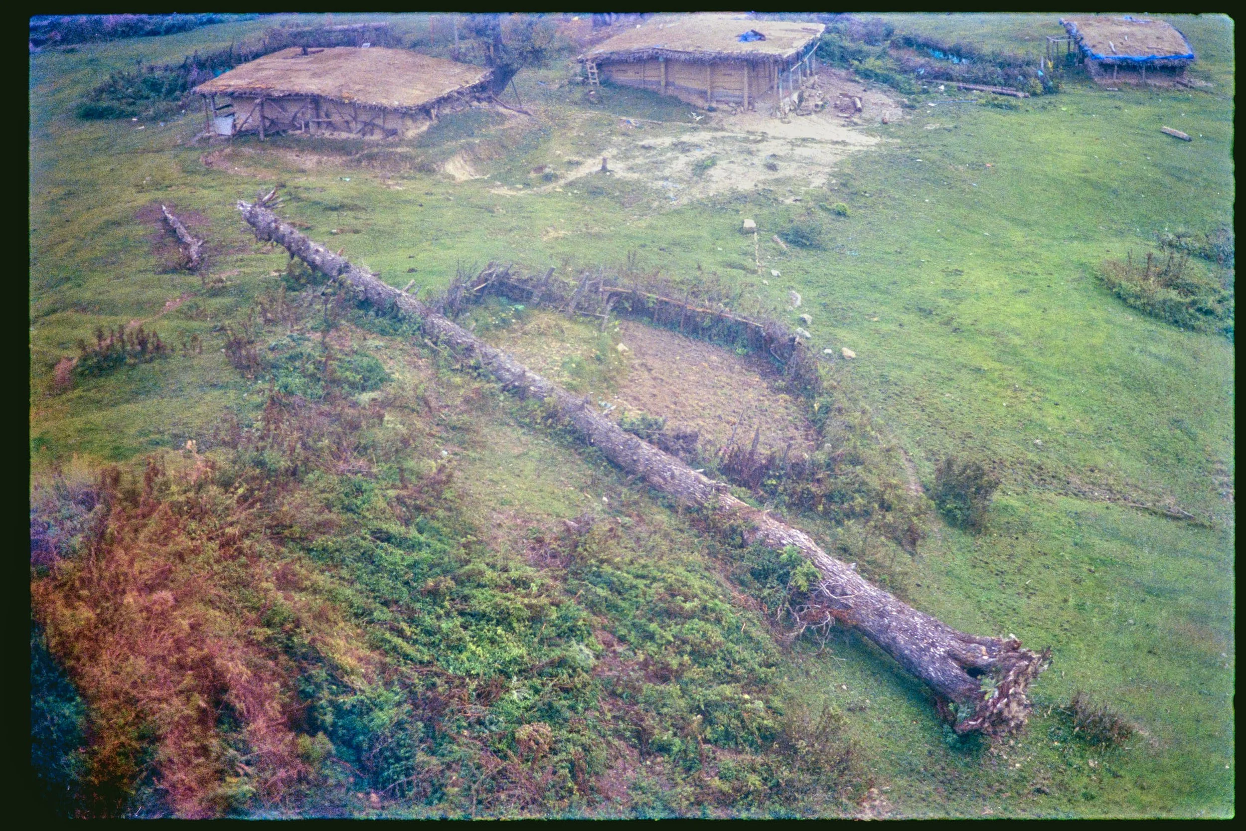 Pro Scans Aug 43236-positive.jpg