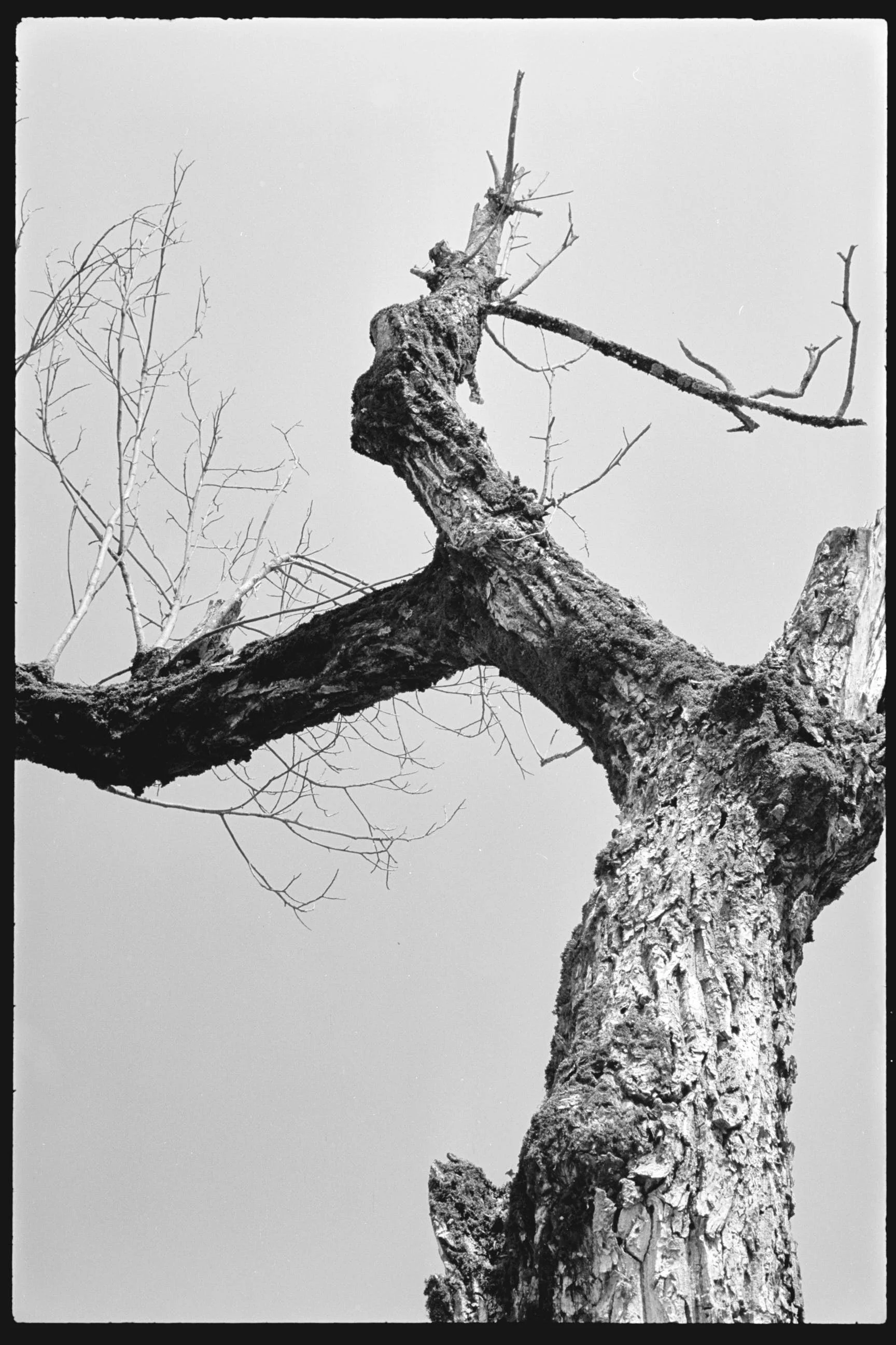 Pro Scans Aug 43274-positive.jpg