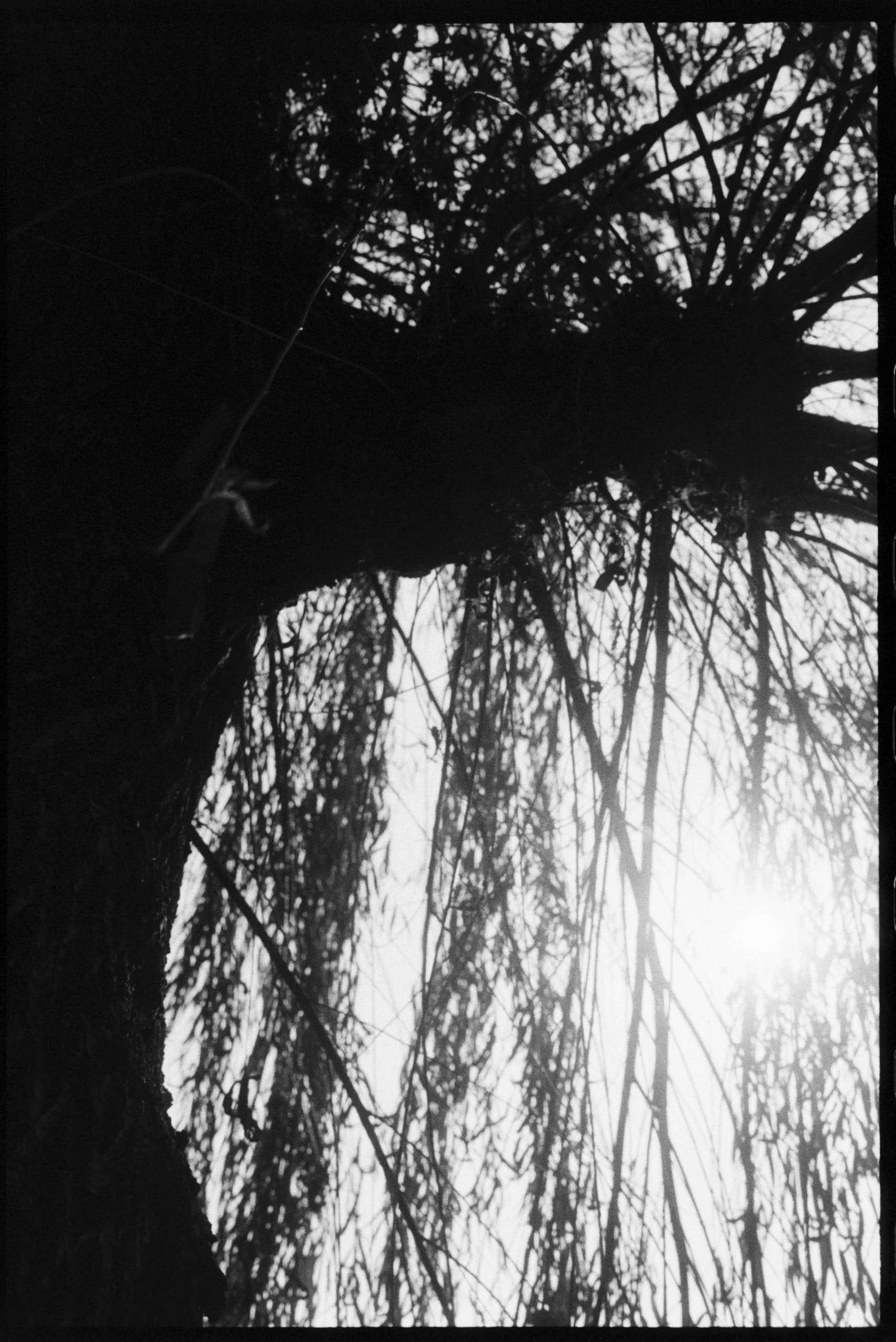 Pro Scans Aug 43168.jpg