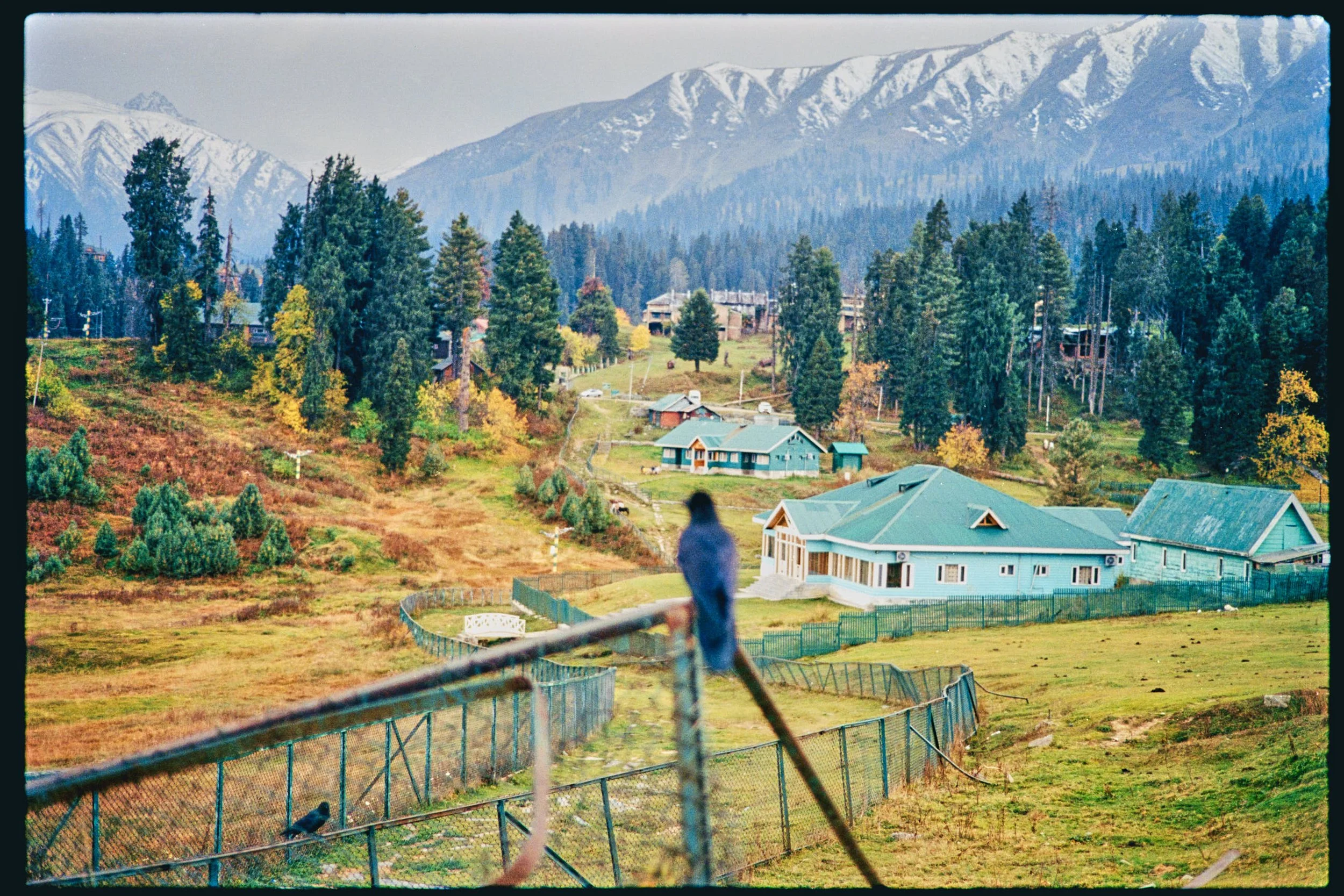 Pro Scans Aug 43244-positive.jpg