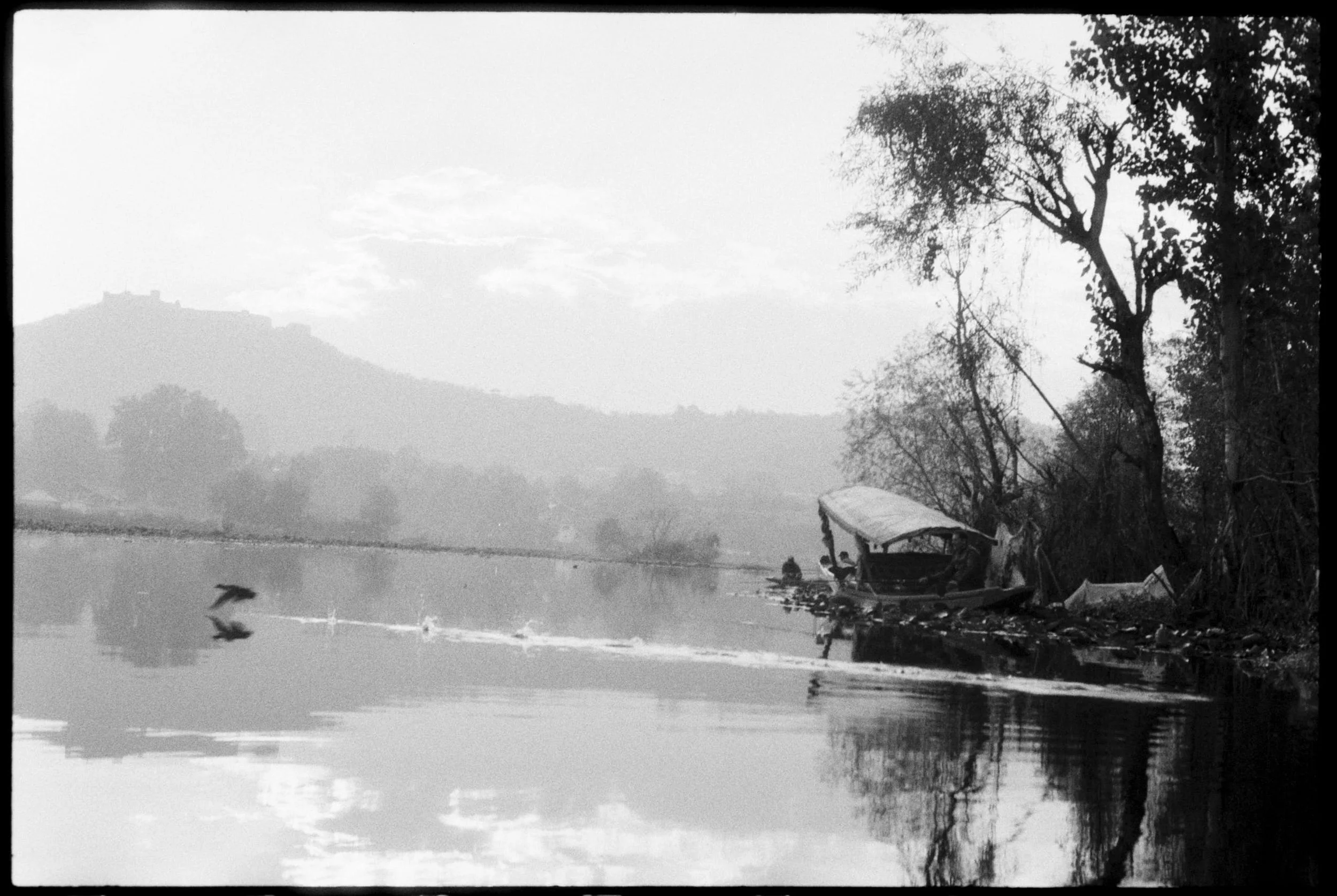 Pro Scans Aug 43203.jpg