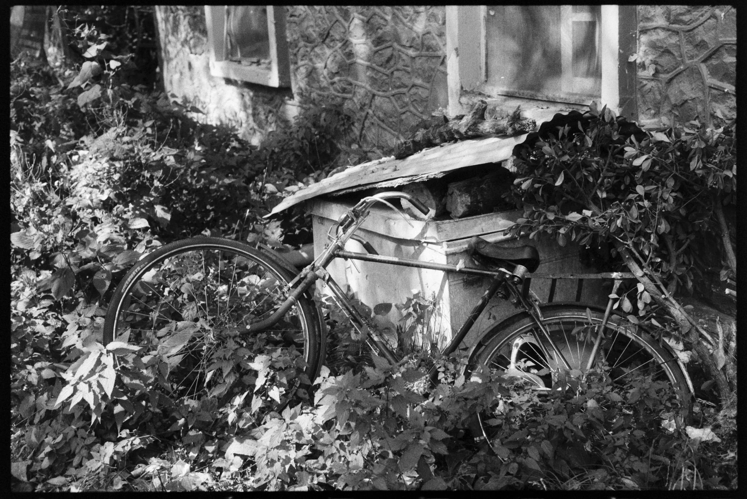 Pro Scans Aug 43171.jpg