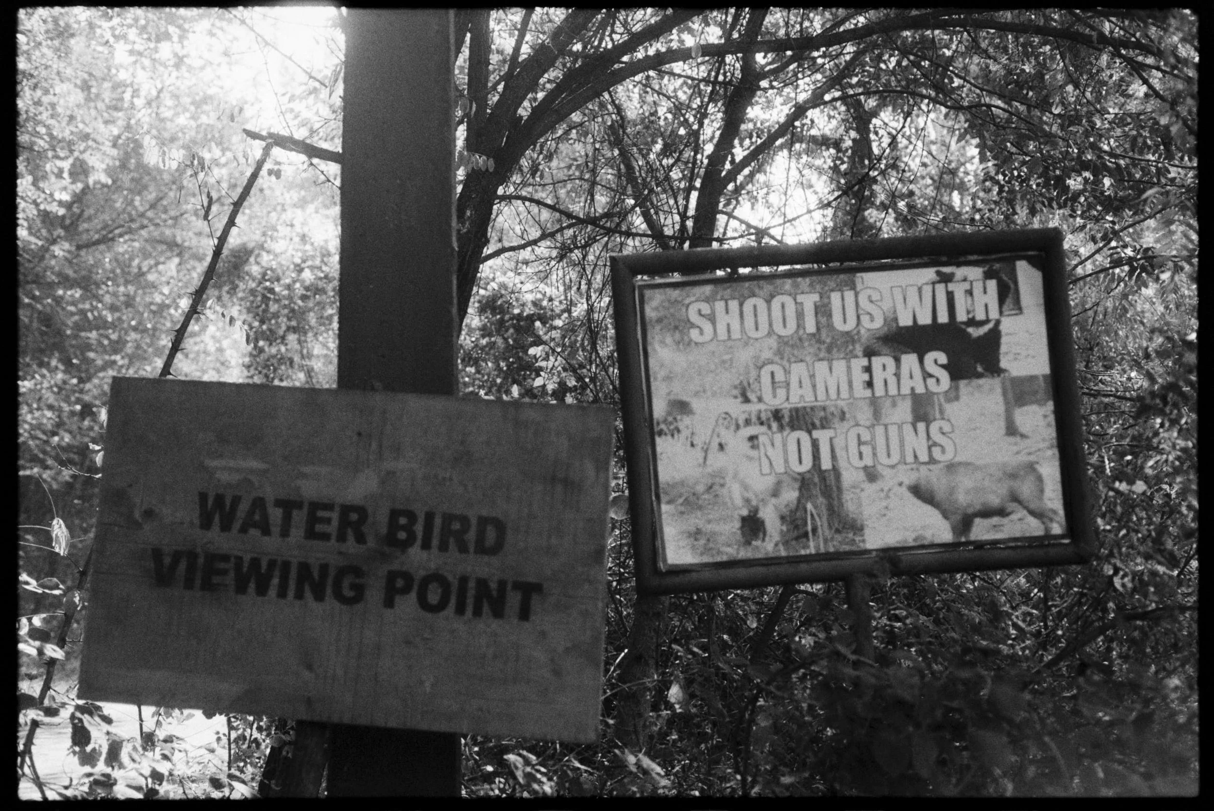 Pro Scans Aug 43164.jpg