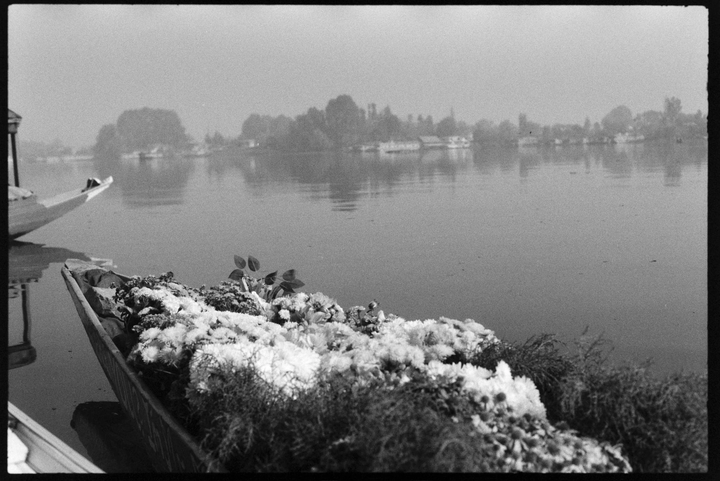 Pro Scans Aug 43161.jpg