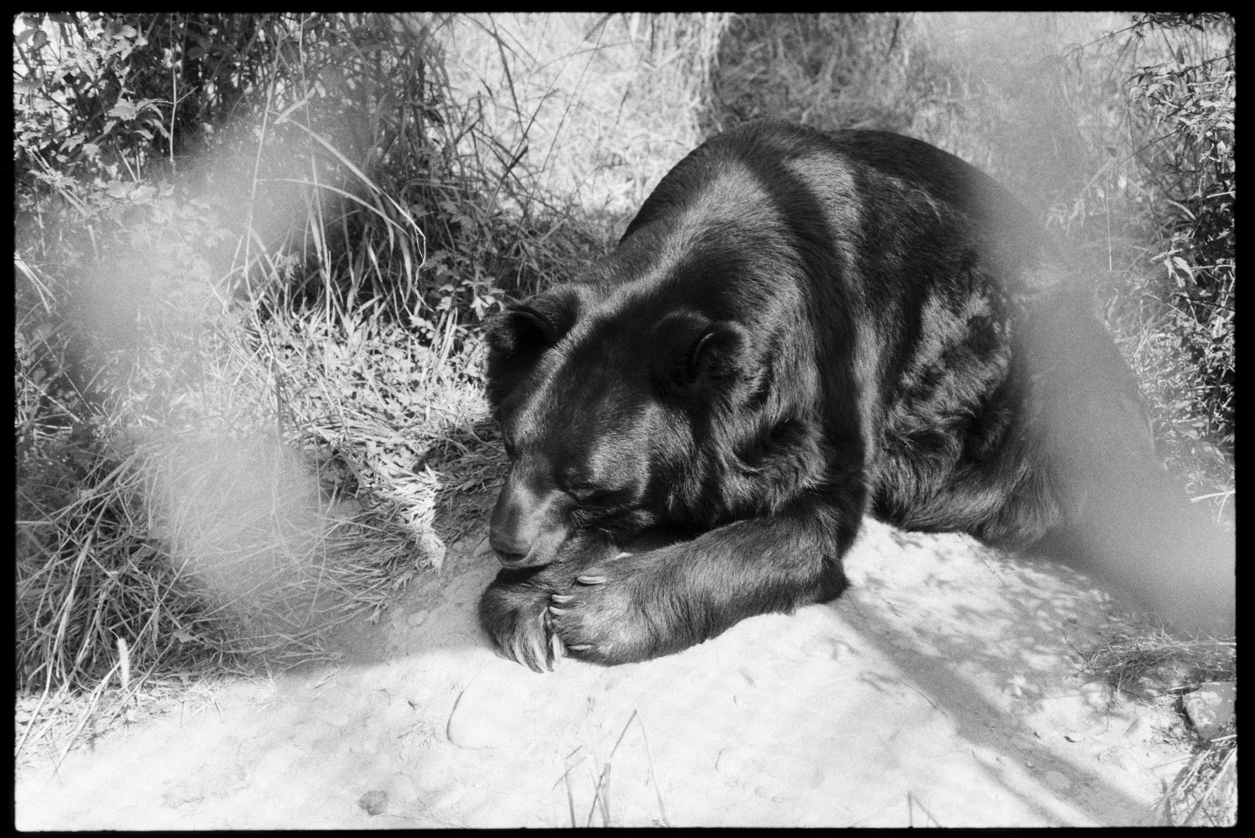 Pro Scans Aug 43176.jpg